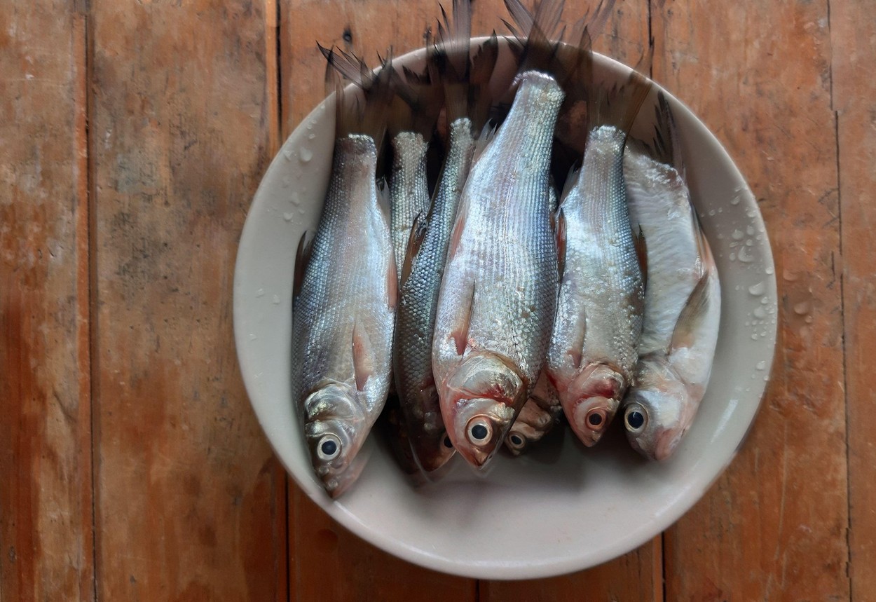 Image: 555900473, License: Royalty-free, Restrictions: , Model Release: no, Credit line: maitree rimthong / Alamy / Alamy / Profimedia