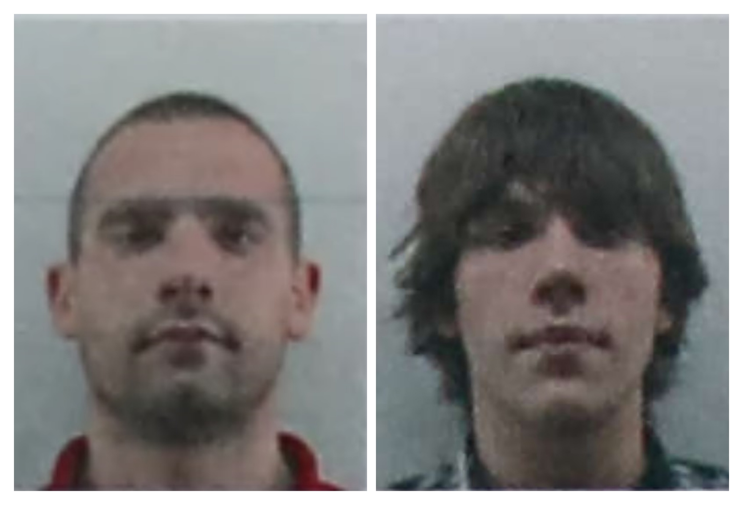 Nikola Vušović, Luka Cerović kombo