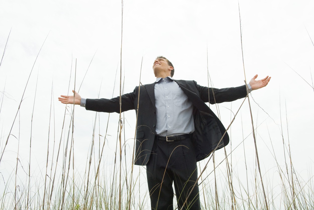 Man in suit standing in tall grass with arms out, looking up, low angle view,Image: 70072055, License: Royalty-free, Restrictions: , Model Release: yes, Credit line: Eric Audras / PhotoAlto / Profimedia