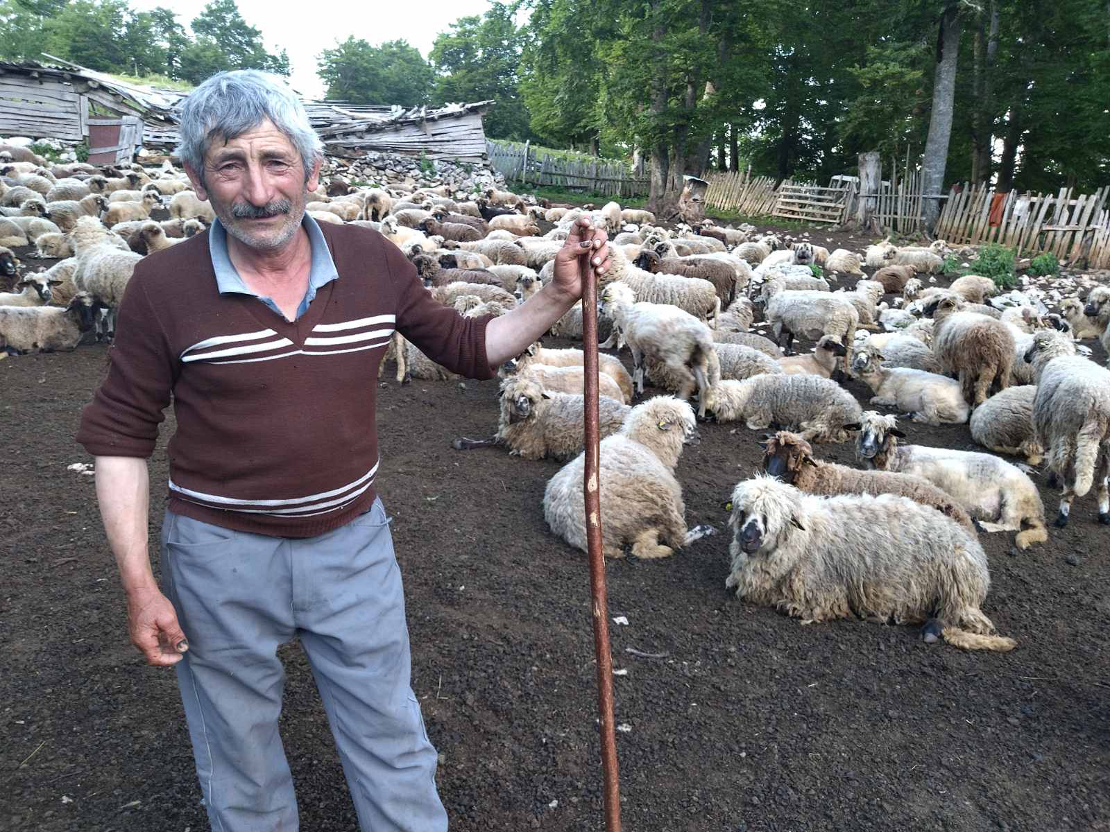 IMG-8b0493a1a8493d51a50a67d6a6364e82-V (1)