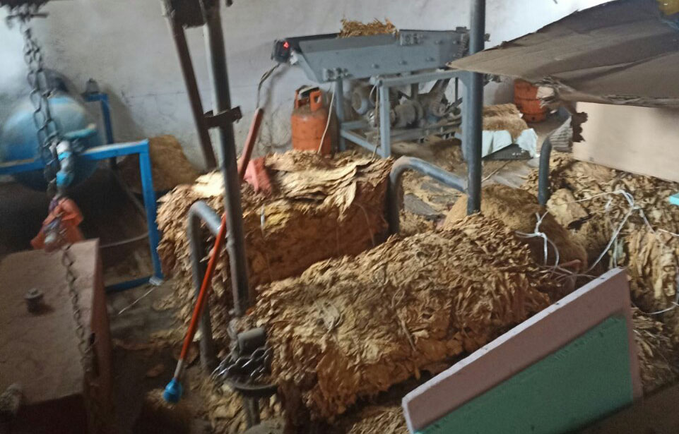 Sremska Mitrovica, duvan, nezakonit promet akciznih proizvoda Foto: MUP