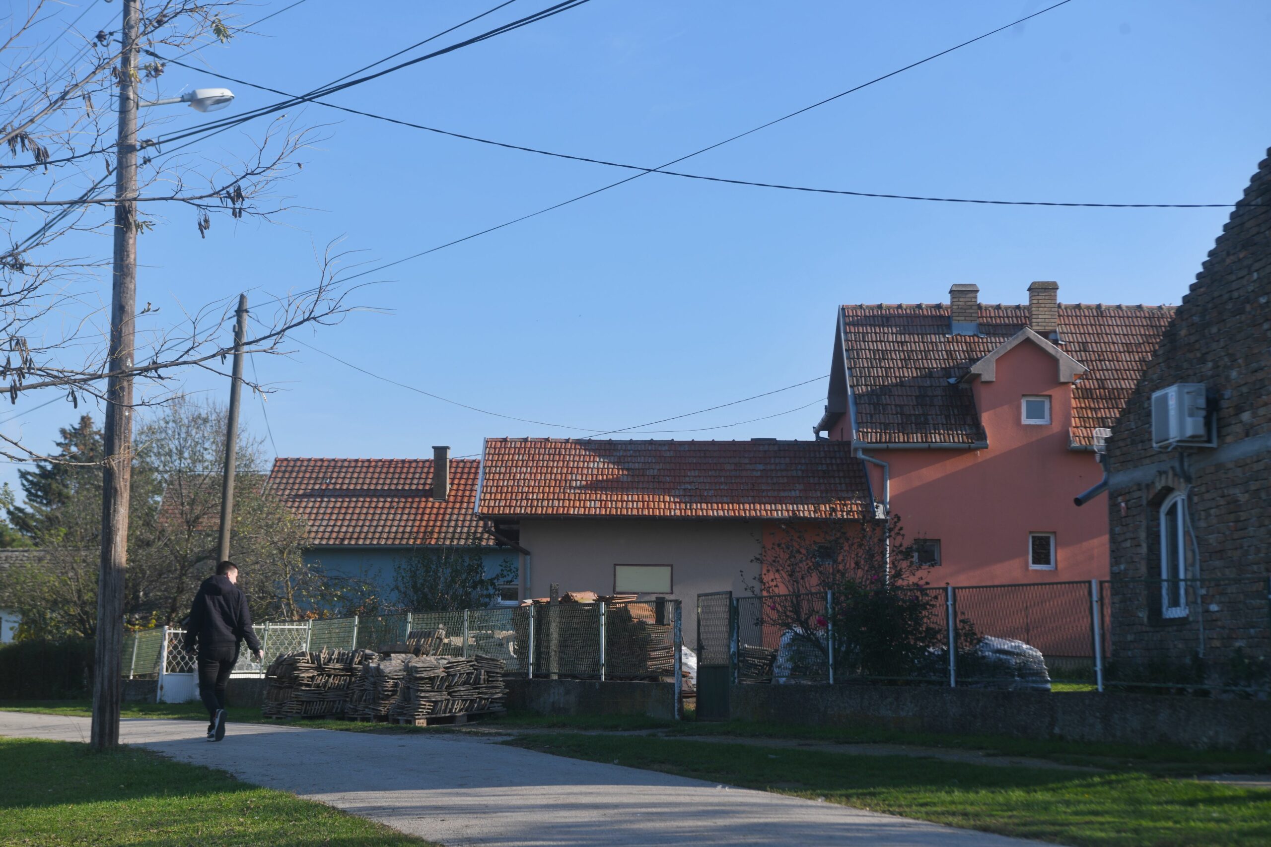 ovce, čobanin, hronika, dvoje poginulo na zrenjaninskom putu