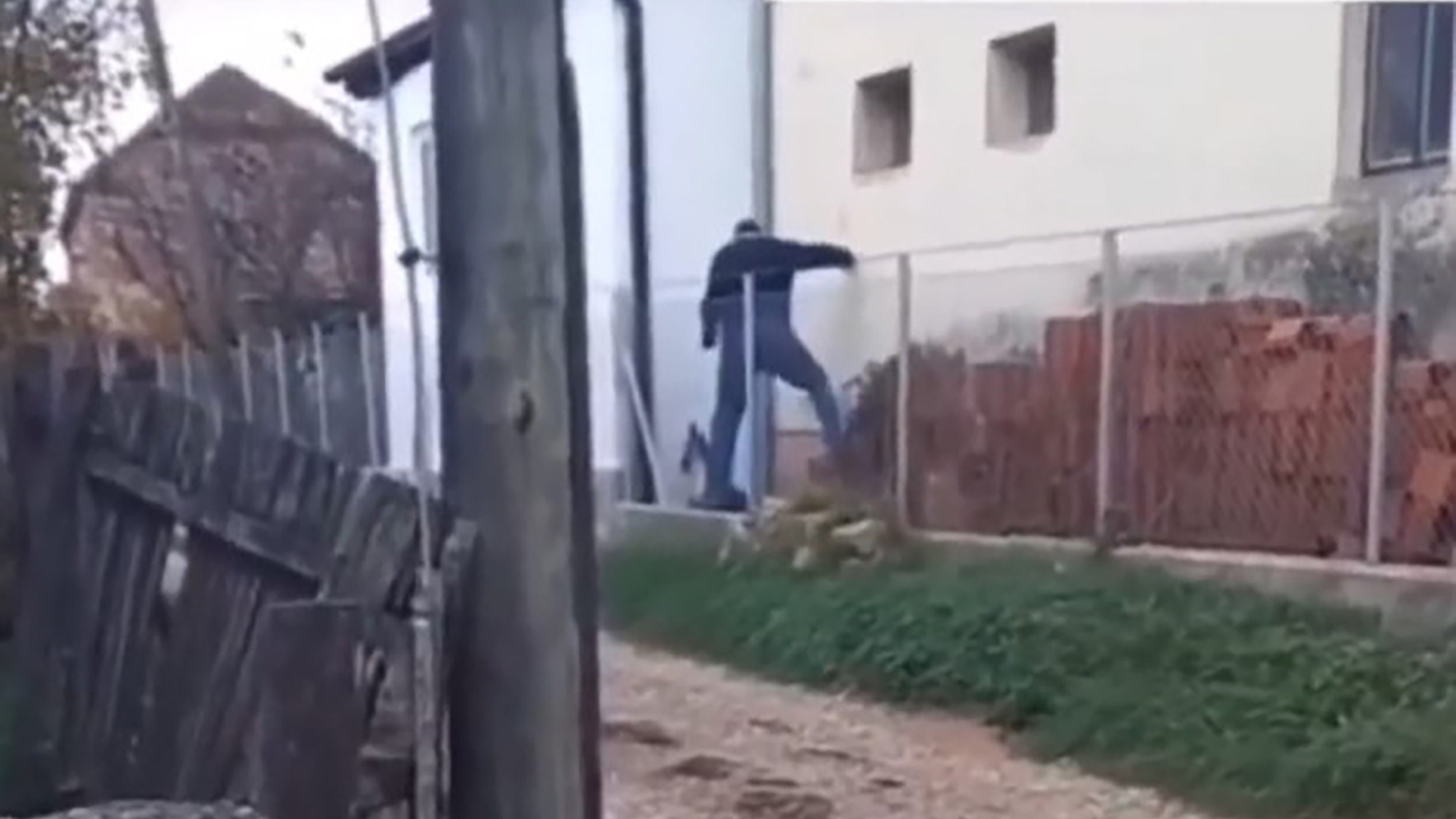 nasilje nad zivotinjama