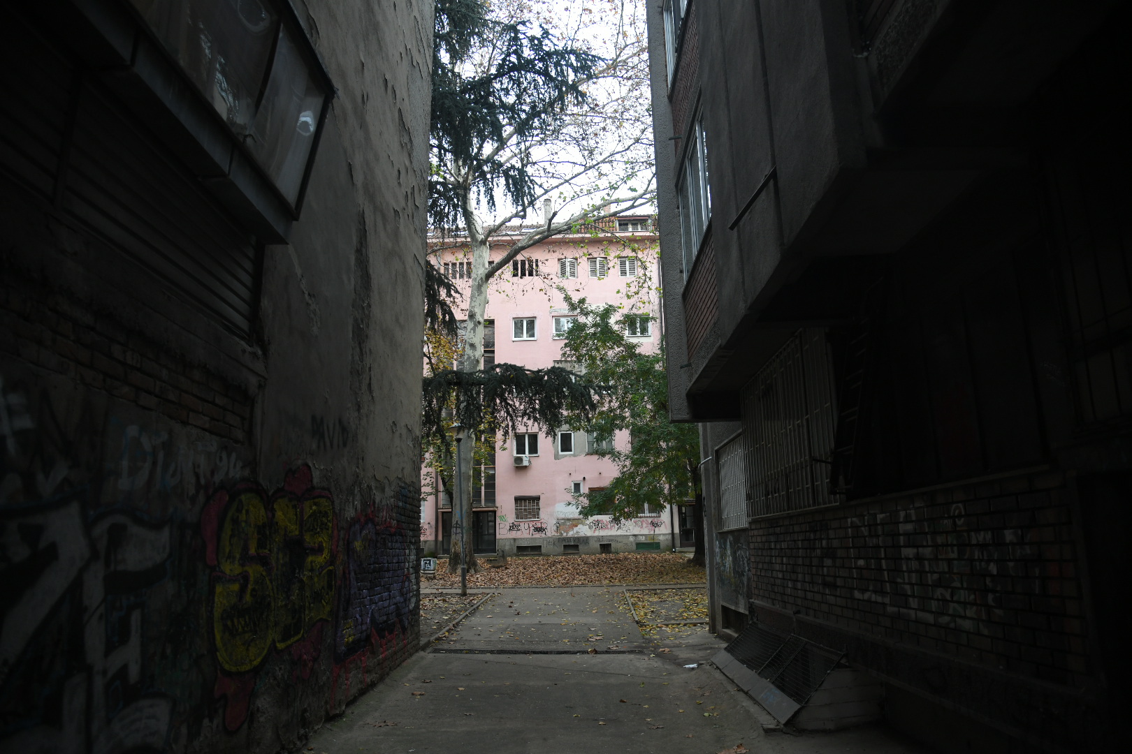 Beograd 17.11.2022. Crveni park, parkić, vračar Slikao Nemanja Jovanovic
