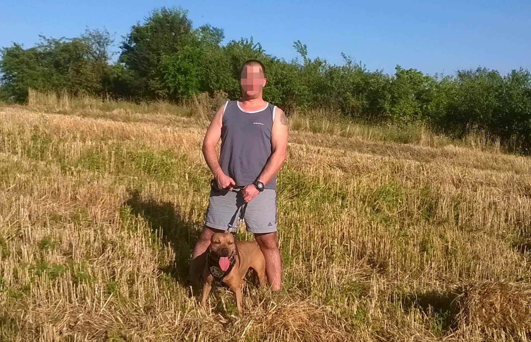 ivan Tankosić, čovek koji je tukao dete igračkom