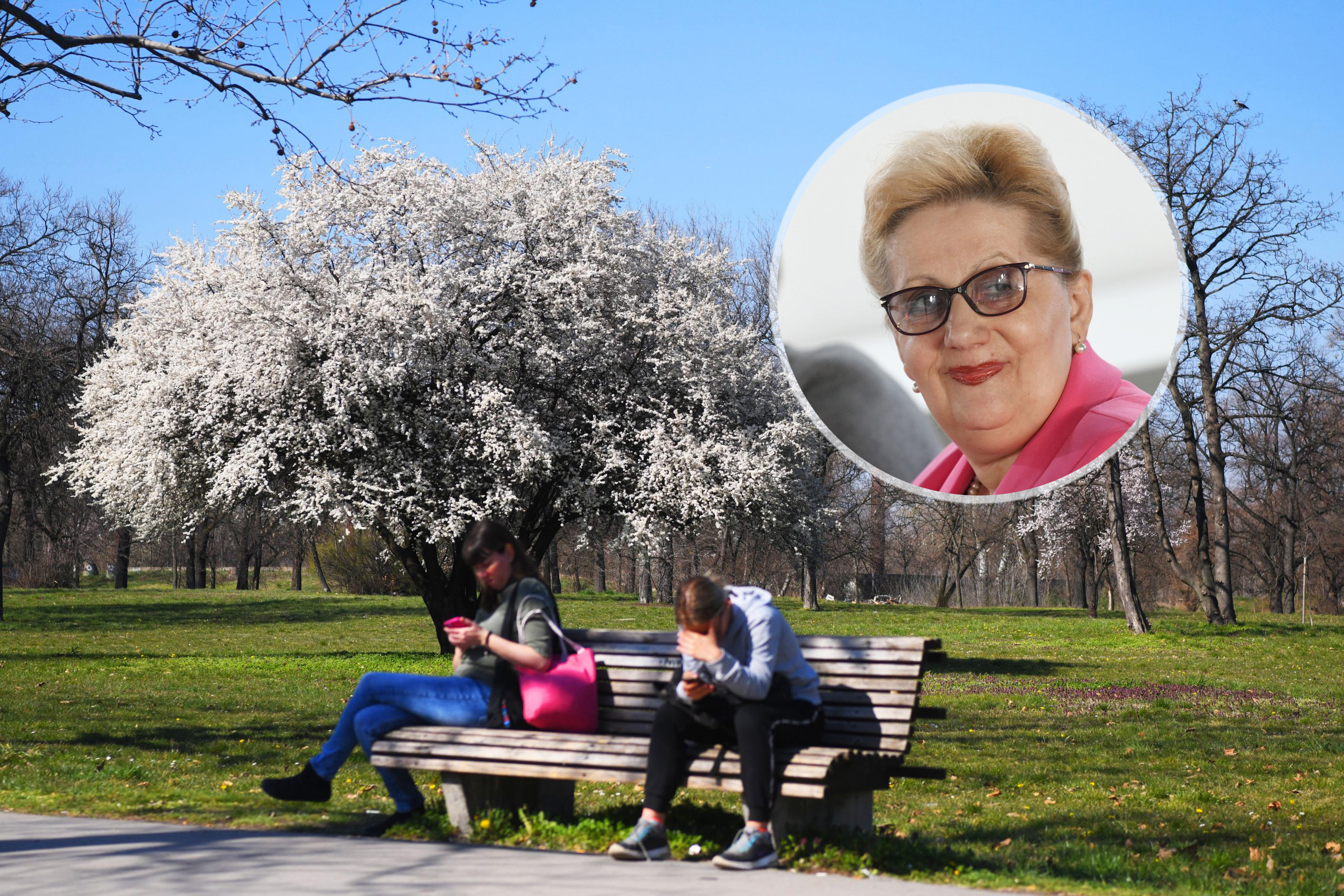 Alergije, Slavica Plavšić kombo, alergija