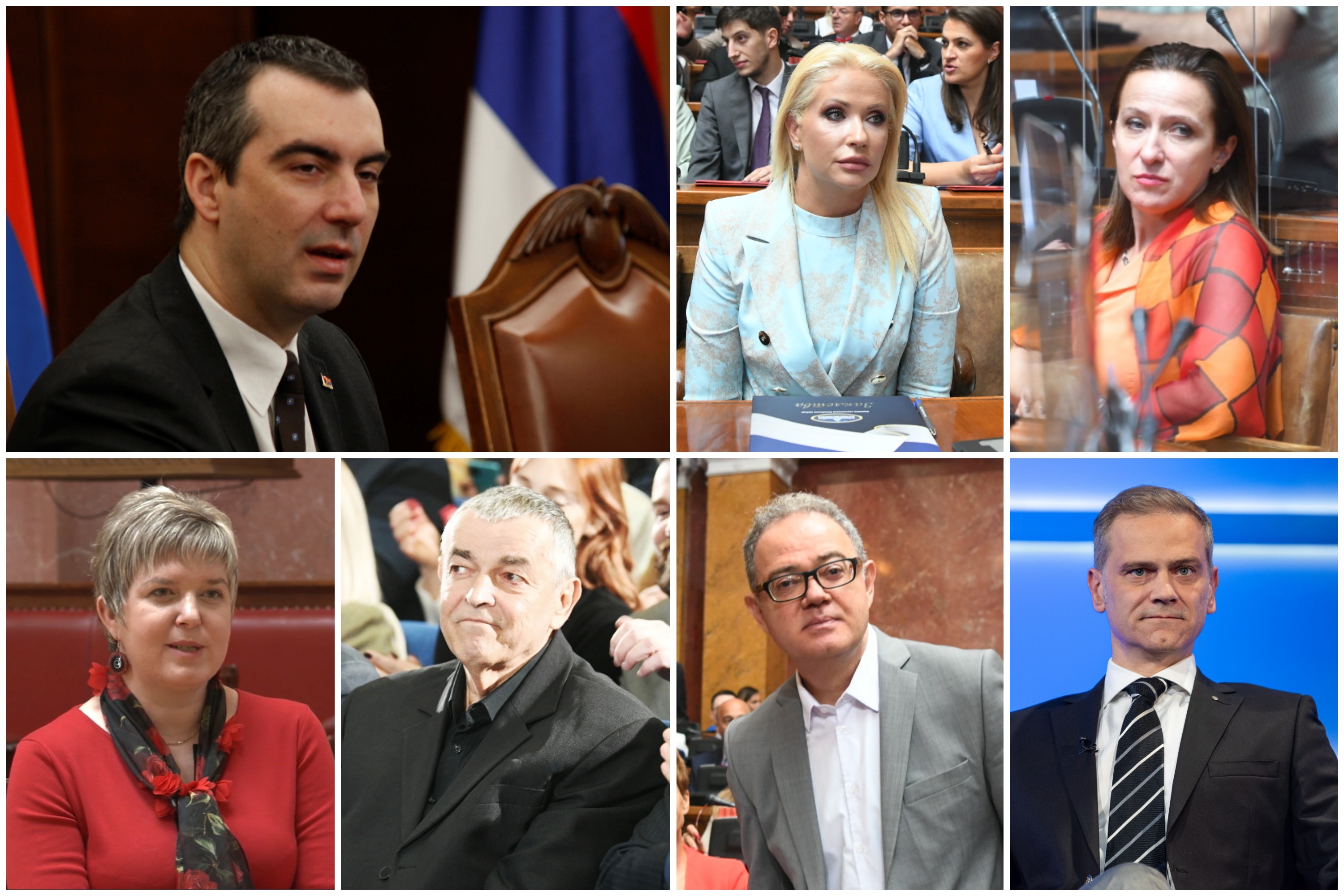 Vladimir Orlić, Sandra Božić, Snežana Paunović, Elvira Kovač, Božidar Delić, Zoran Lutovac, Borko Stefanović, kombo Foto: BETAPHOTO/AMIR HAMZAGIC/Vesna Lalić, Nemanja Jovanović/Nova.rs/Ivan Dinić/Nova S