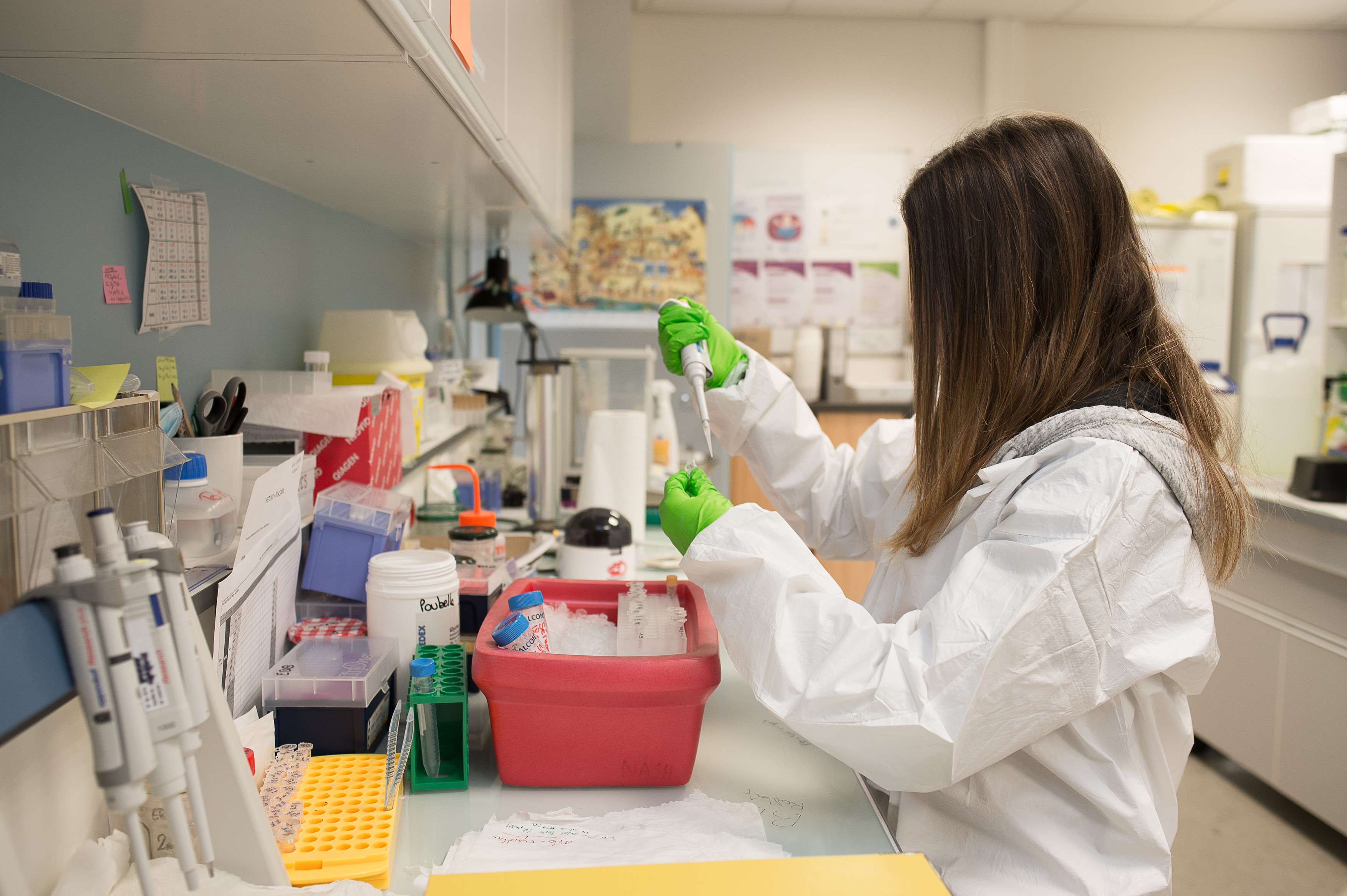 Foto: A. NOOR / BSIP / BSIP / Profimedia