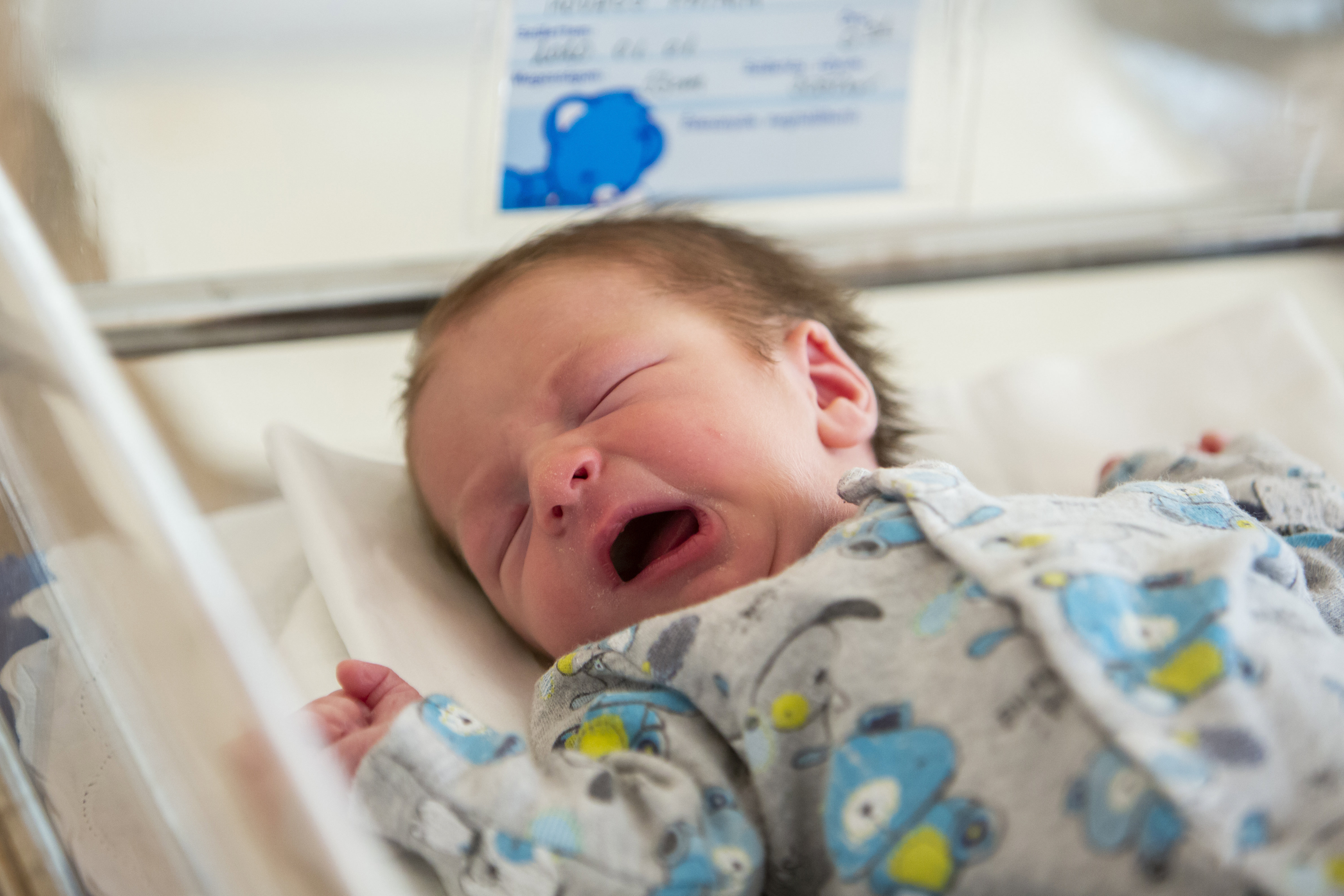 The new year's first born baby of Hungary