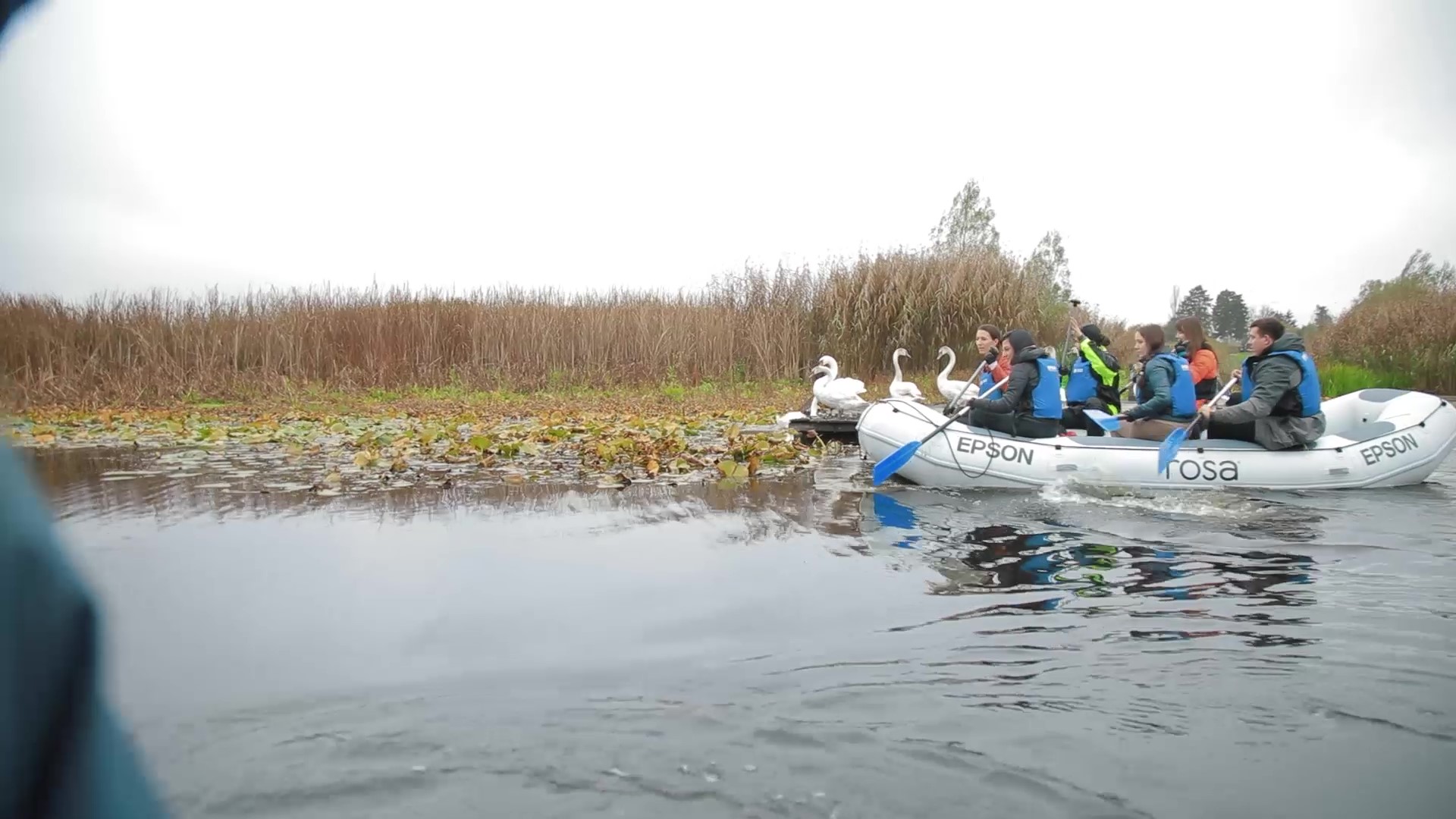 Ekološka Flota. Obedska bara, podizanje, izgradnja igrališta za decu sa posebnim potrebama, deca, igralište, ekološka akcija, ekologija  Foto: Discover Serbia/Promo
