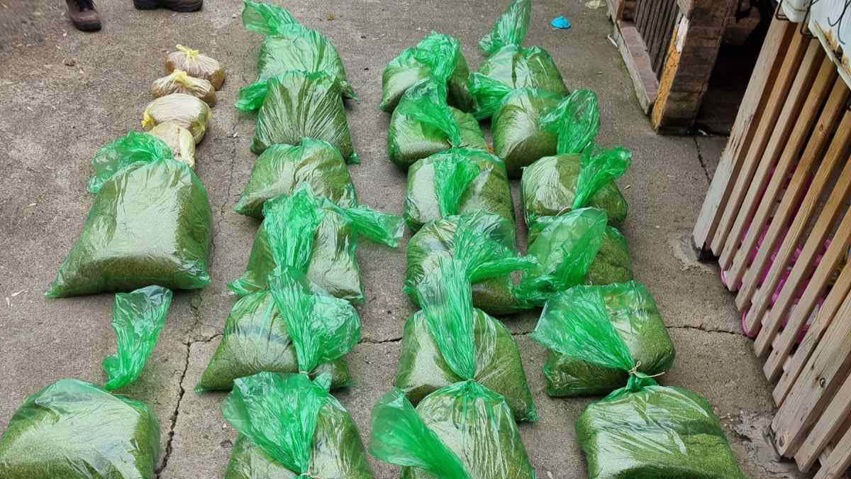 Rezani duvan, prodaja, 143 kilograma rezanog duvana Foto: MUP