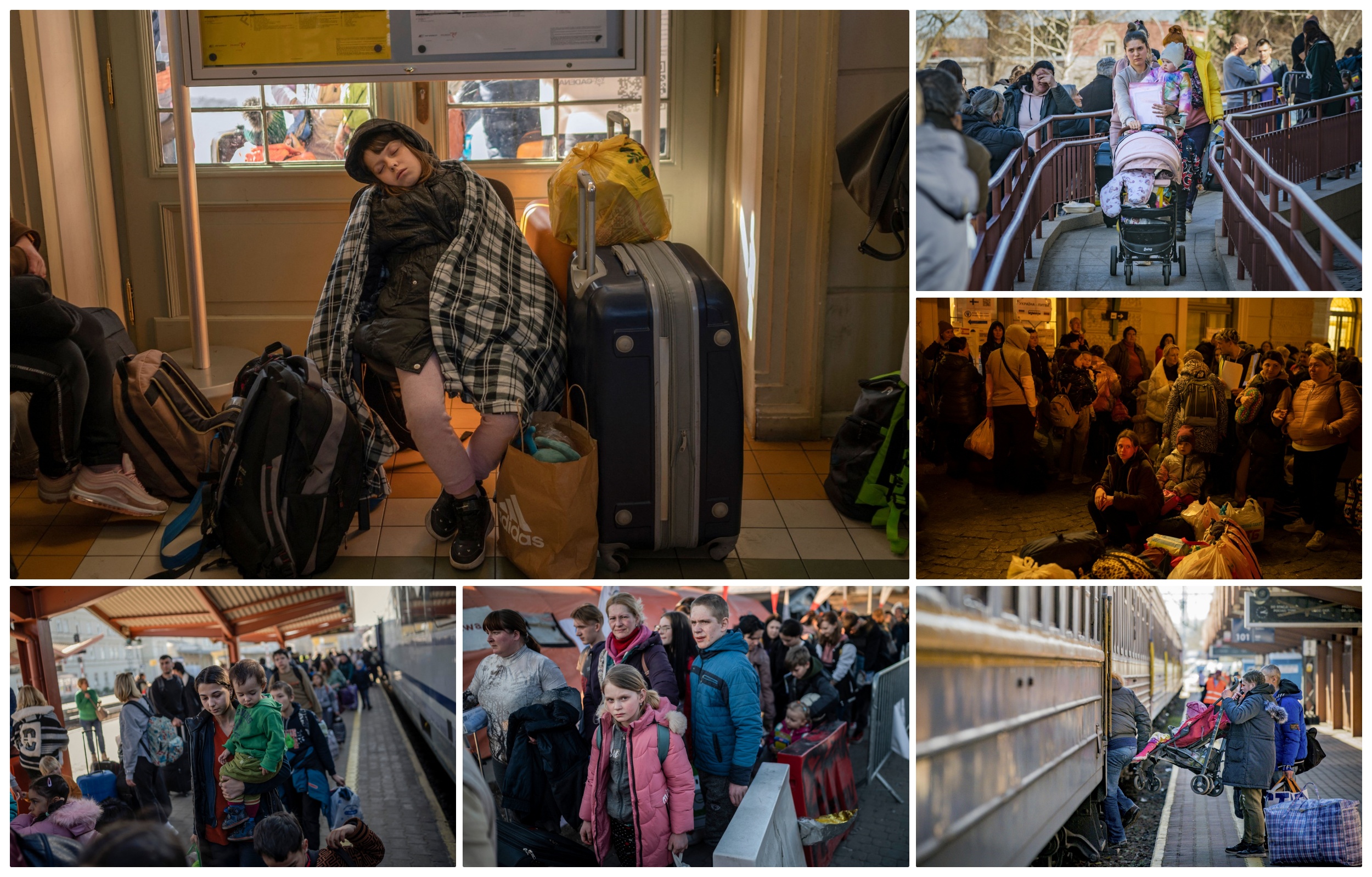 1648119307-collage-ukrajinske-izbeglice-u-poljskoj.jpg