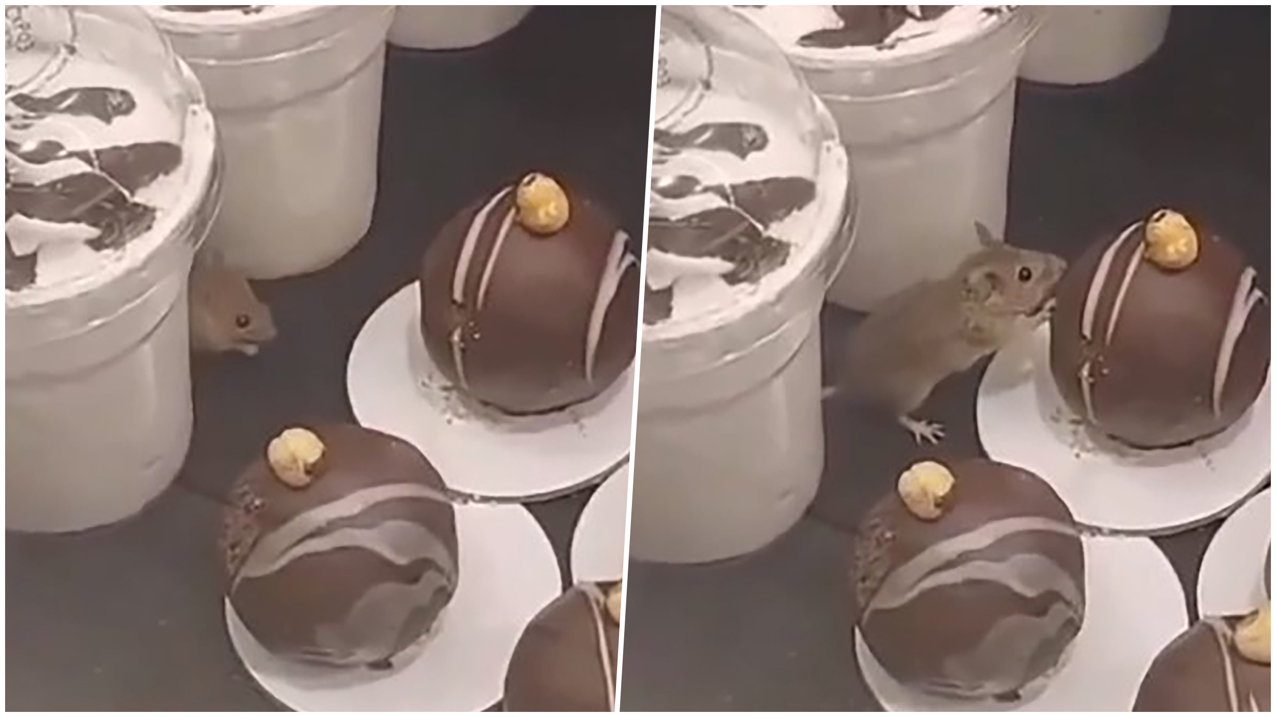Skroz dobra pekara mis
