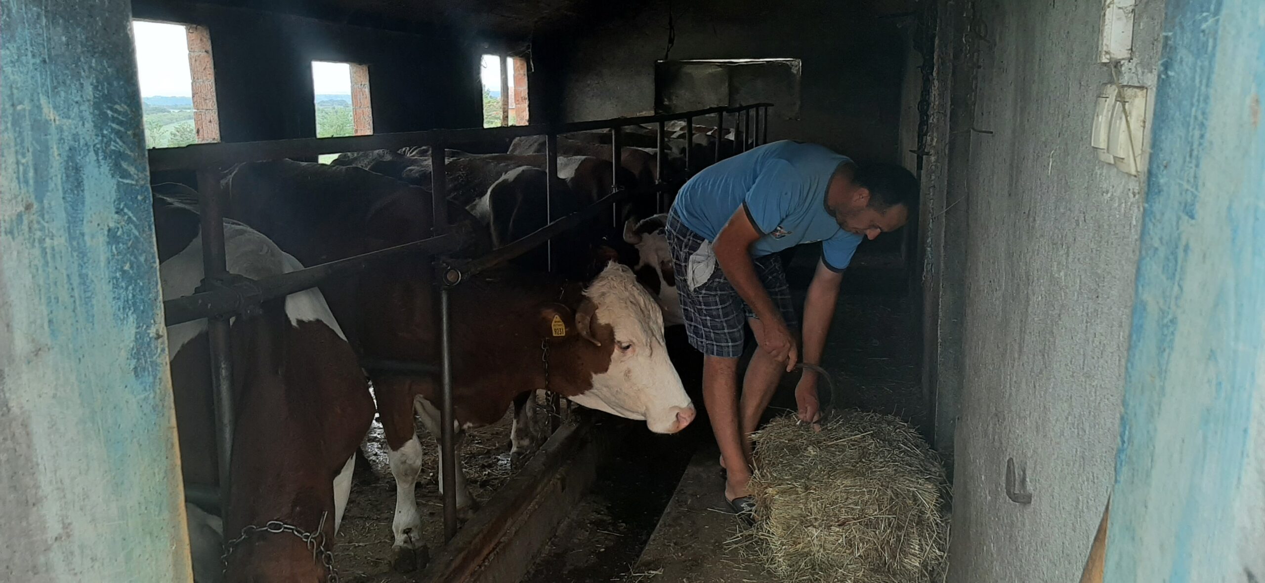 selo Batalage porodica radovanović prosledila sanja tomic