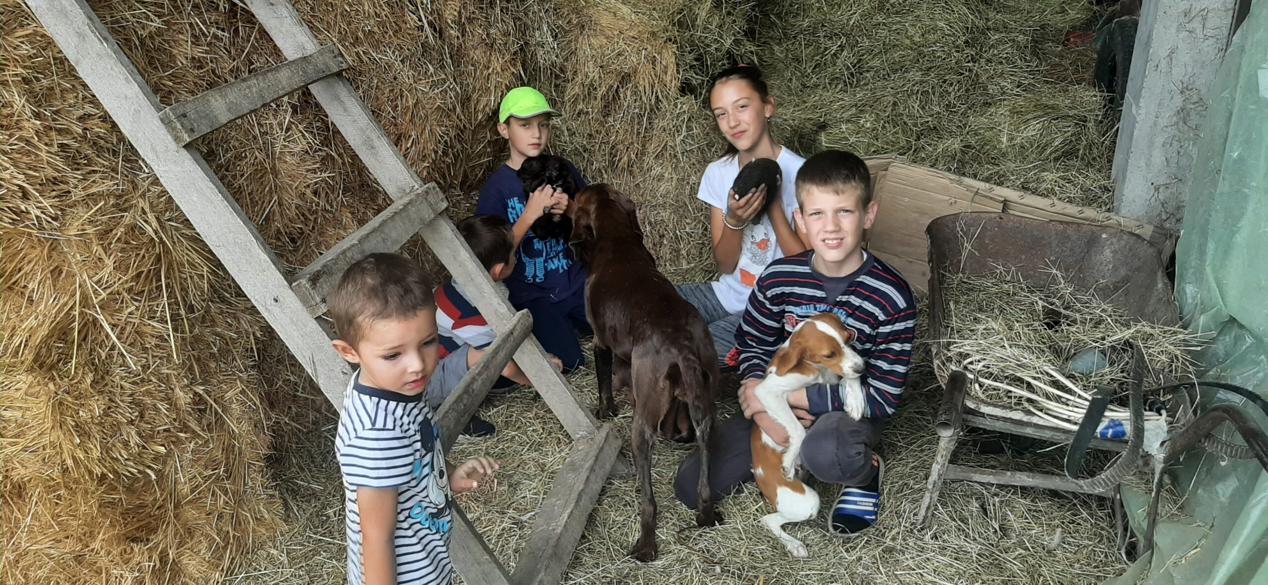 selo Batalage porodica radovanović prosledila sanja tomic