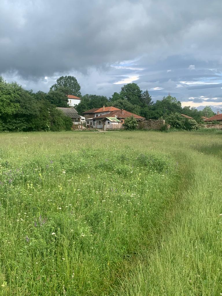 Ljiljana Zarkov, Stara planina