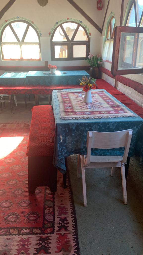 Ljiljana Zarkov, Stara planina