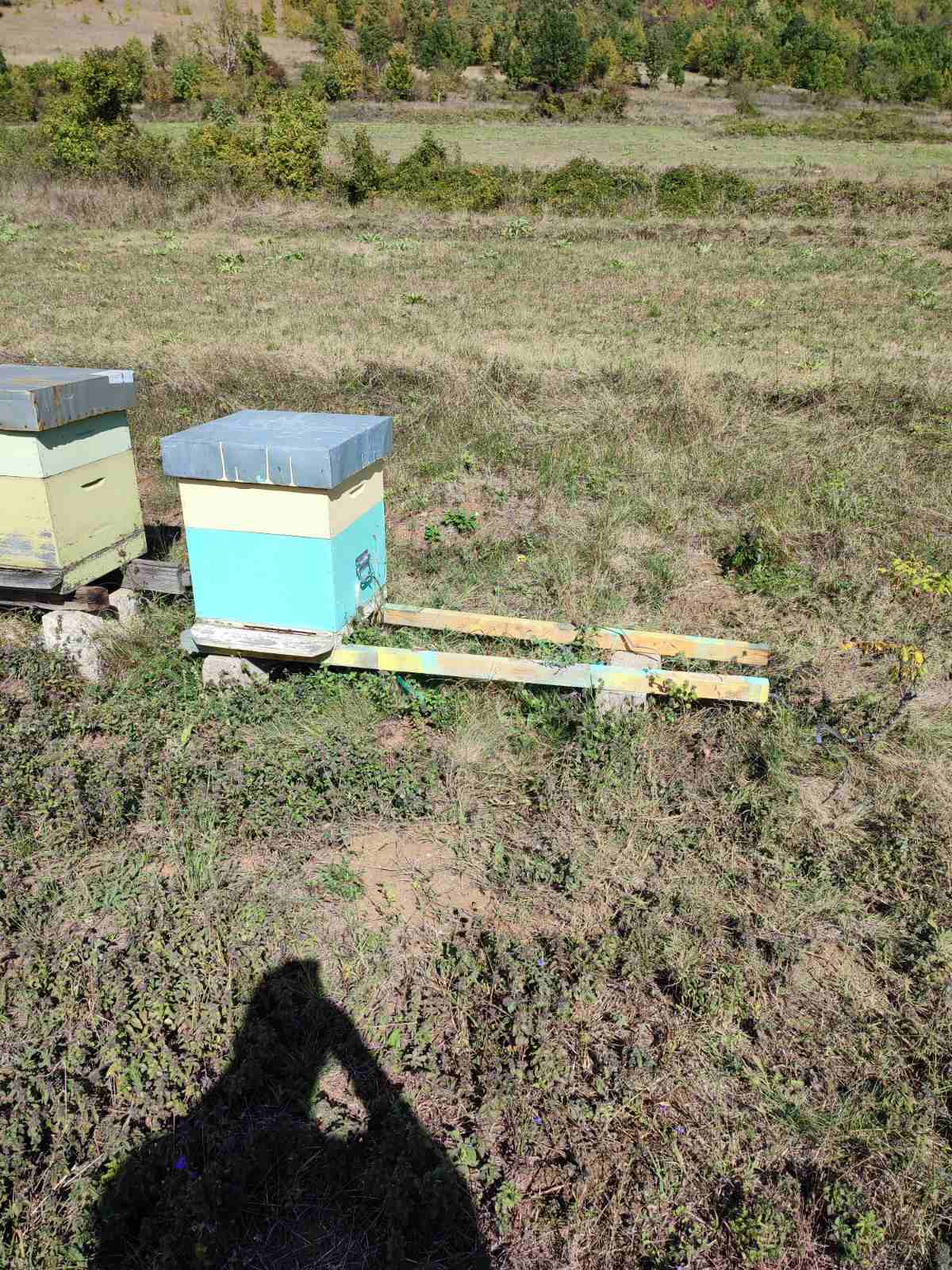 Pčelar Mladen, slike privatna arhiva, poslala 
Dragana Kocic