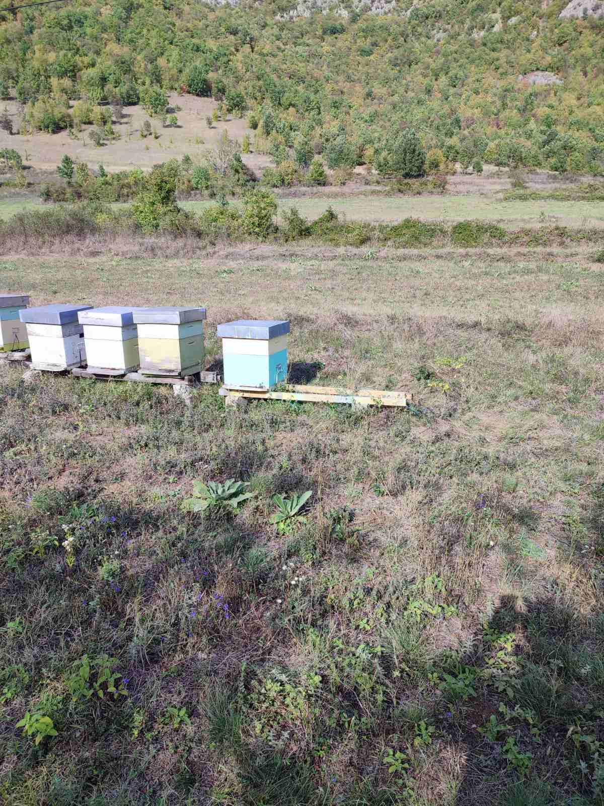 Pčelar Mladen, slike privatna arhiva, poslala 
Dragana Kocic