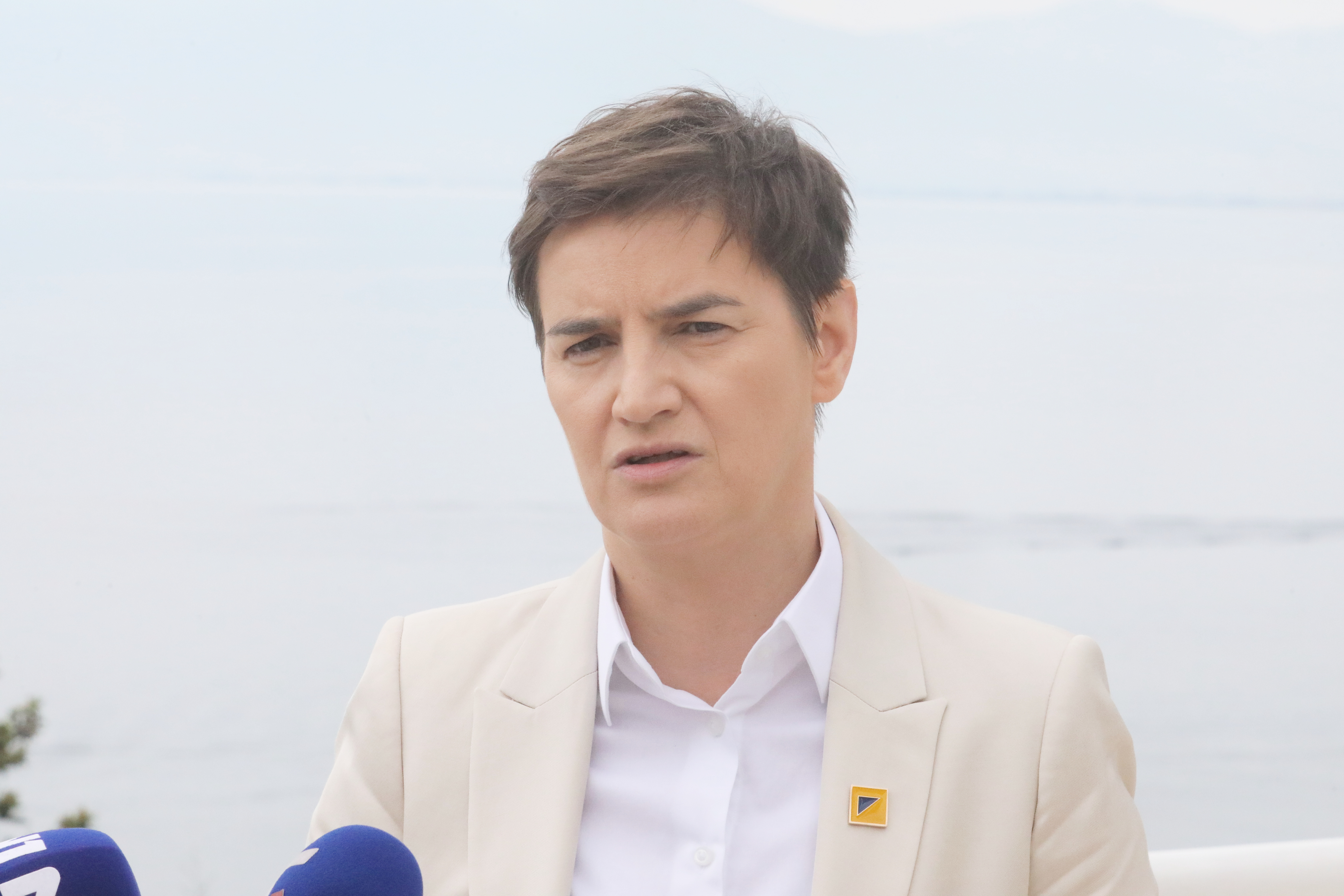 ANA BRNABIC