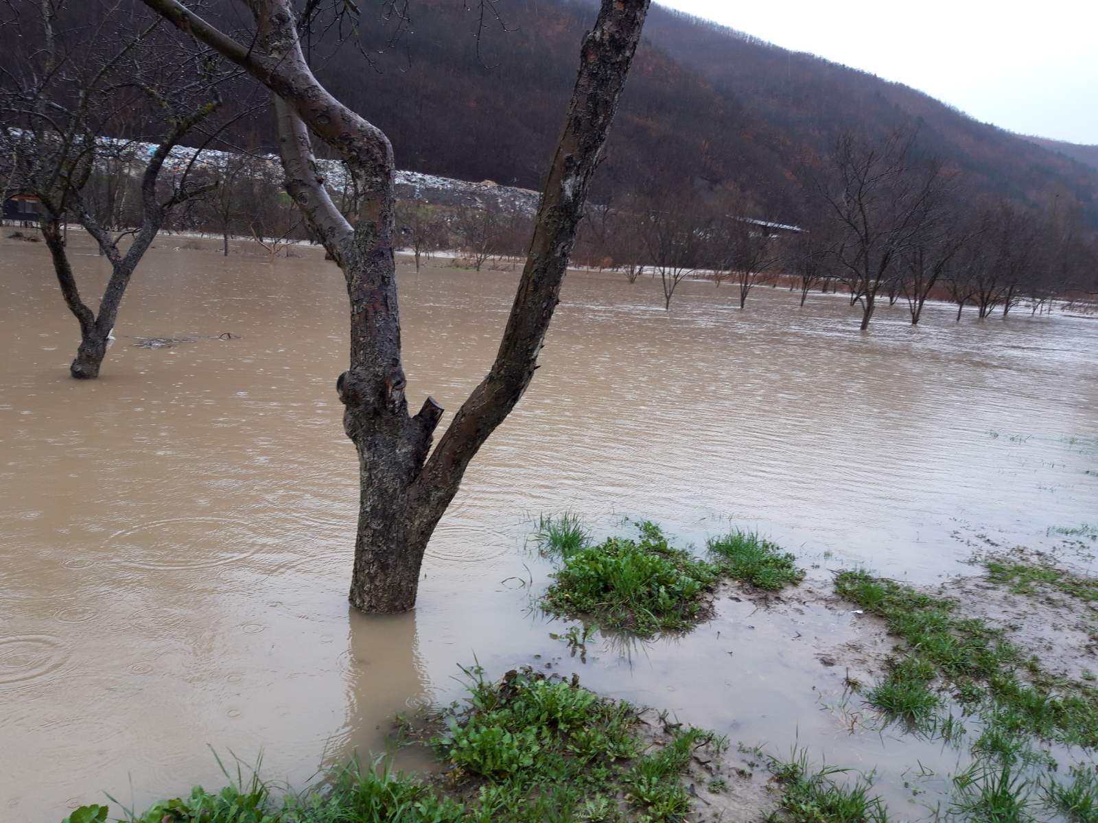 Sead Gojak, Prijepolje, reka Lim poplavljeno domacinstvo poplava
