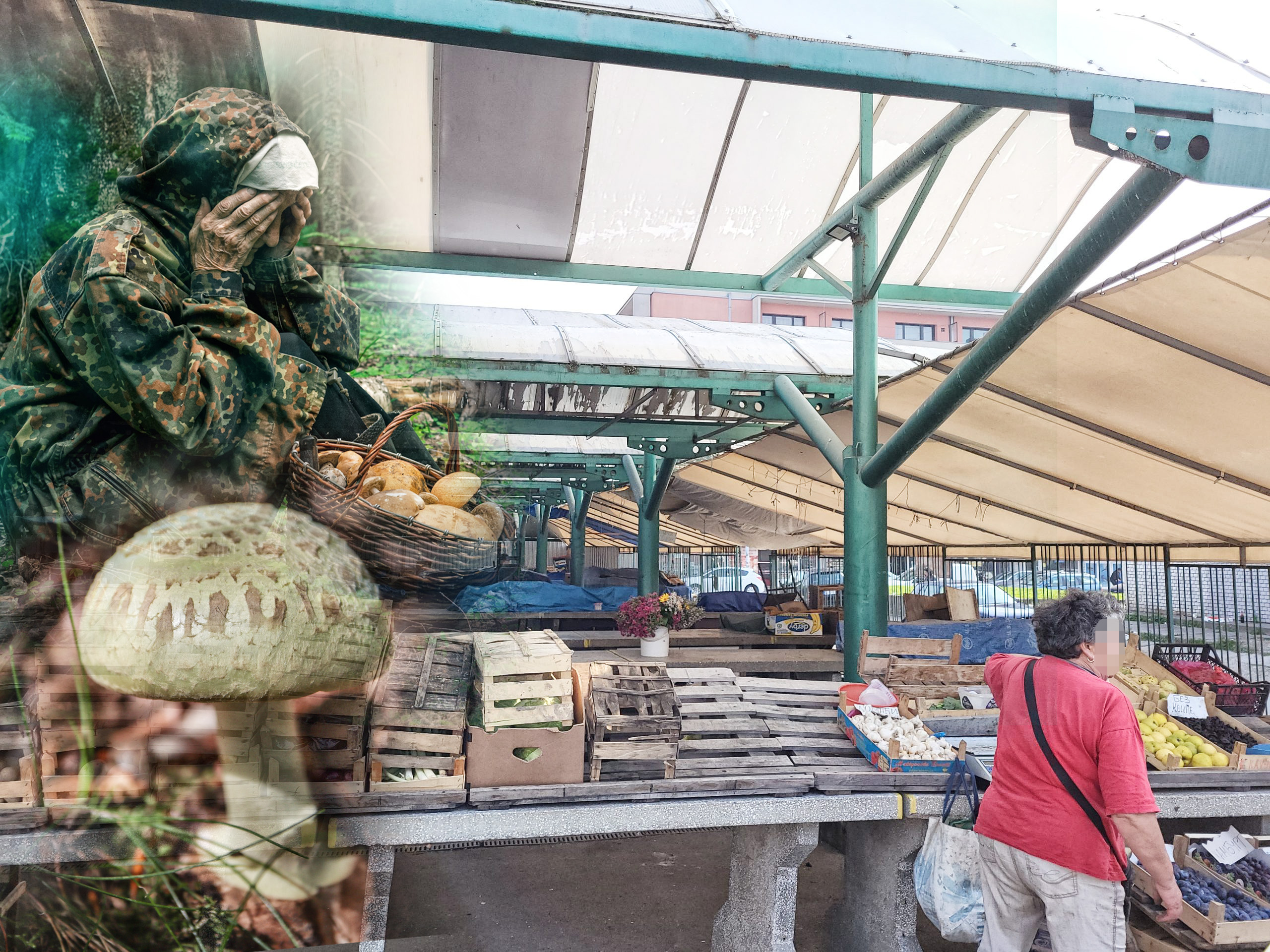 1665404866-20221010_134126-scaledaaa