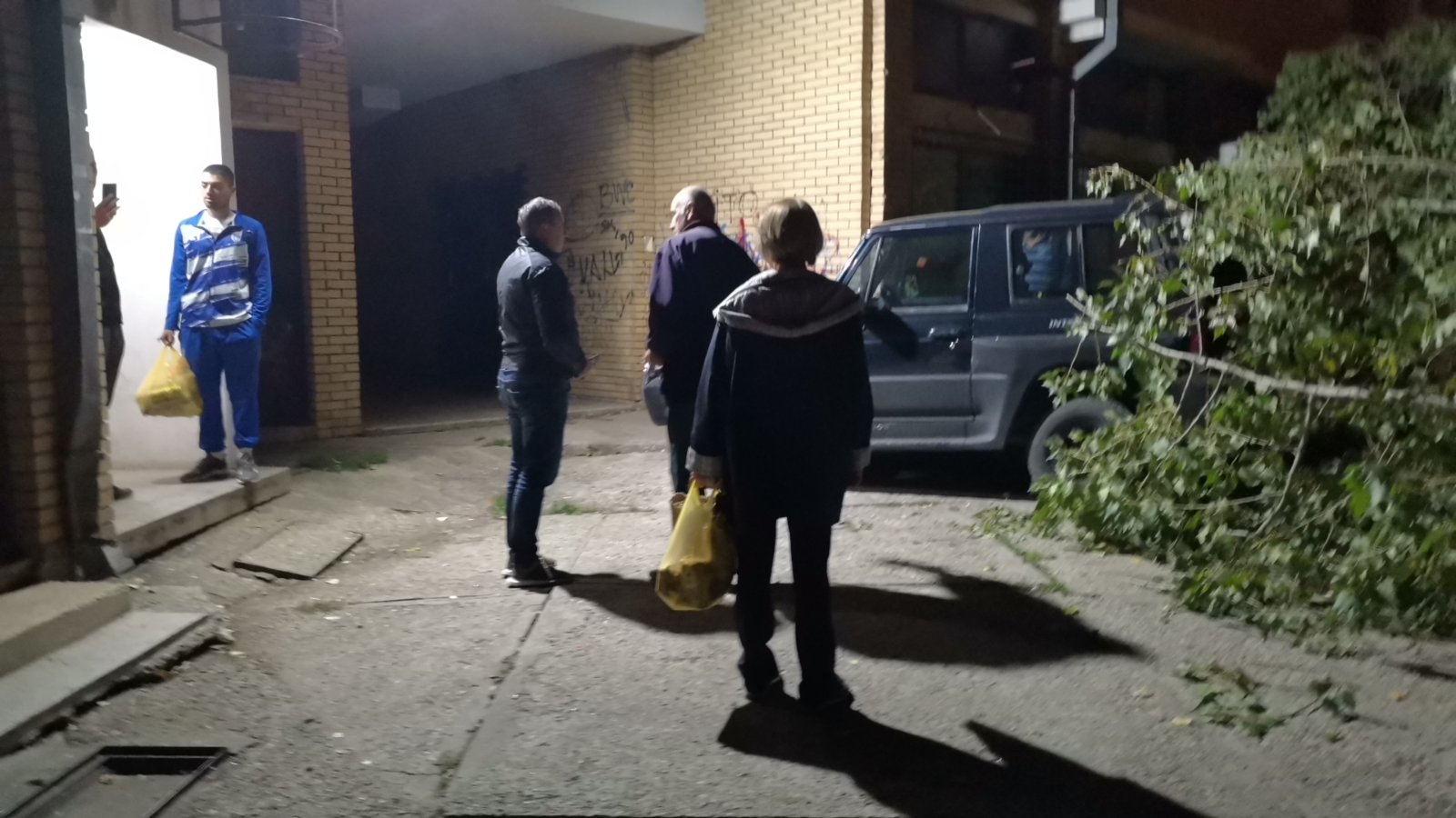 Niš, palo drvo na dete, poslala Dragana Kocić