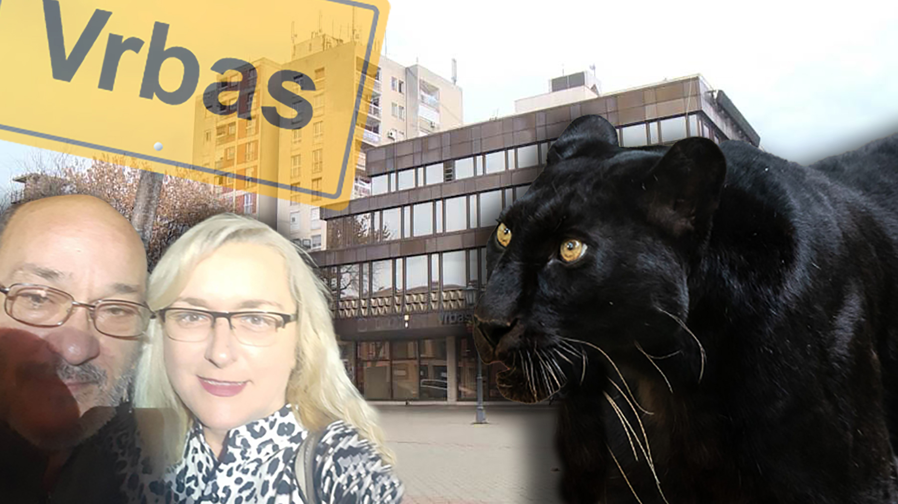 vrbas, panter, aranka tešić, nenad tešić