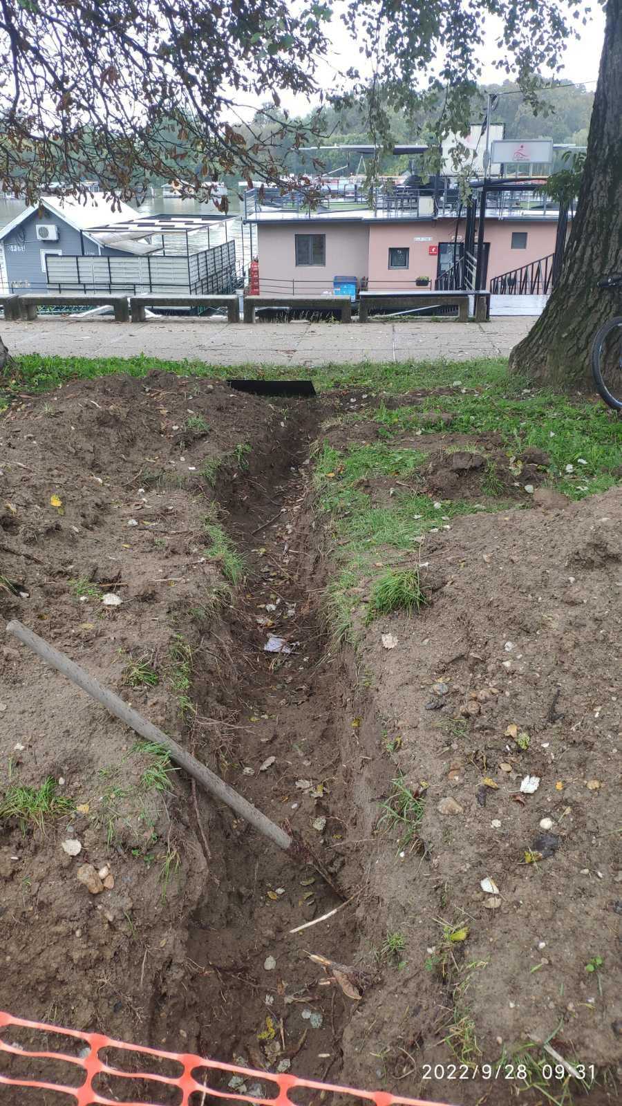 Aleksandra Smiljanic