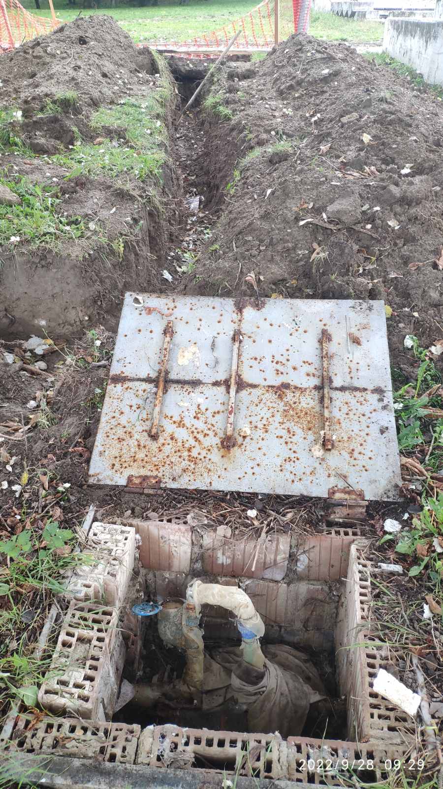 Aleksandra Smiljanic