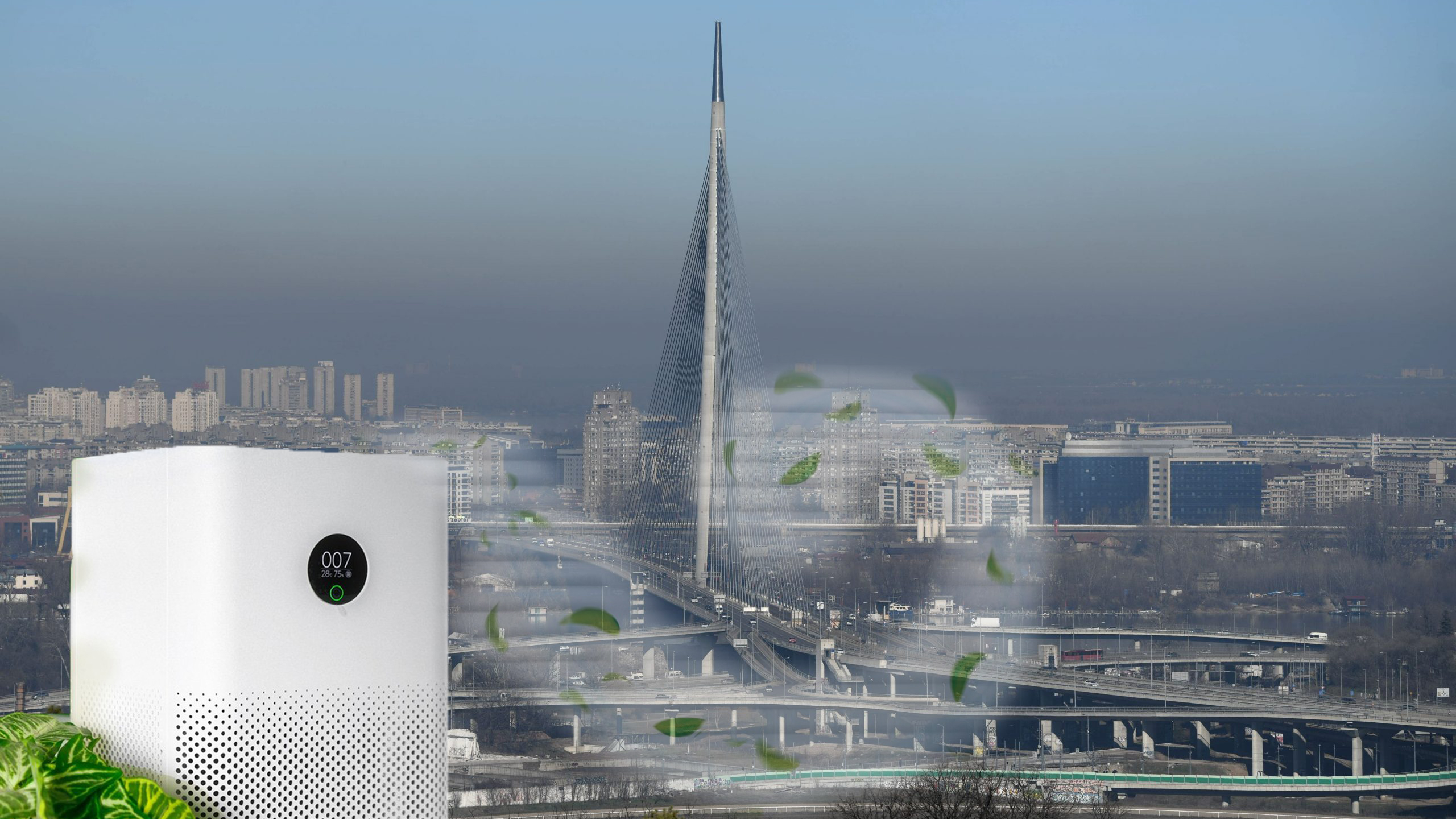 1644491234-FIL_1095-04-scaled