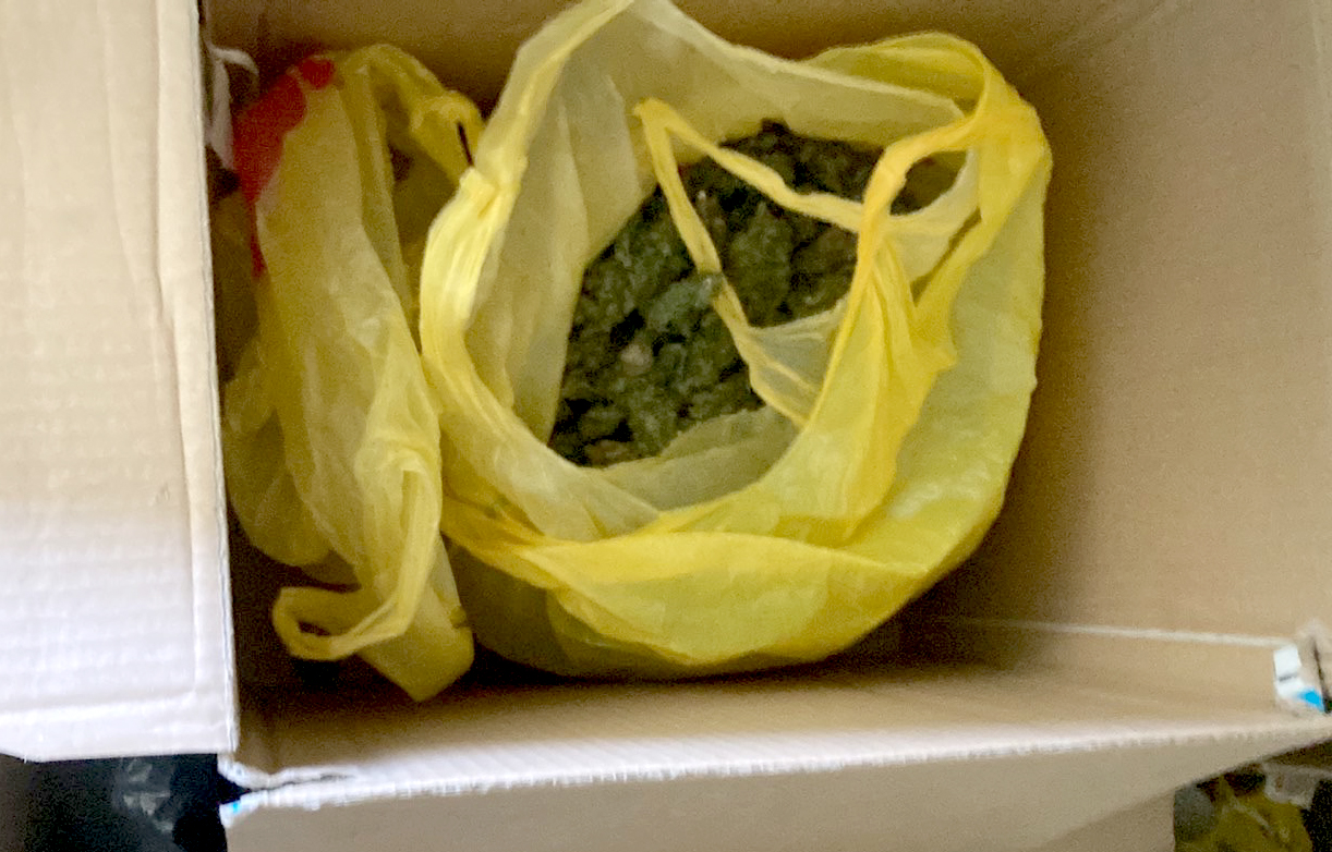 Batajnica i Stari Banovci, laboratorija za proizvodnju marihuane, marihuana, trava, kanabis, droga Foto: MUP