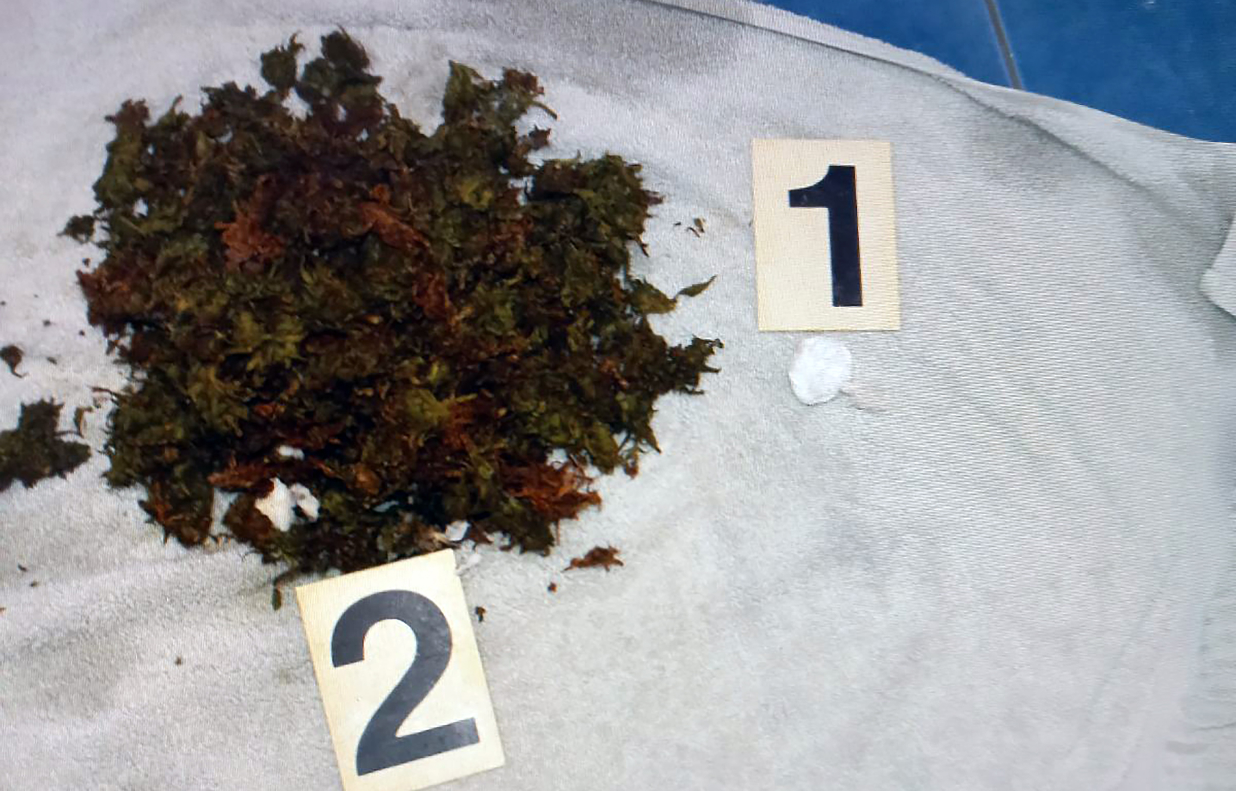 zaplenjeni kokain i marihuana