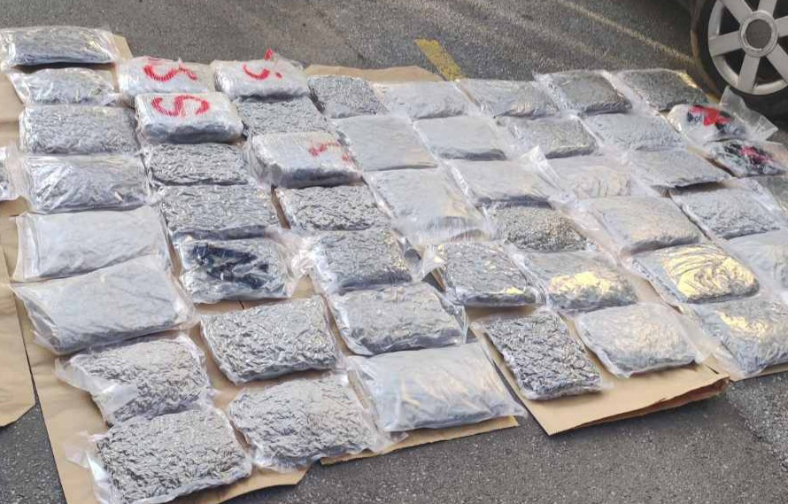 Kragujevac, marihuna, zaplena, trava, droga Foto: MUP
