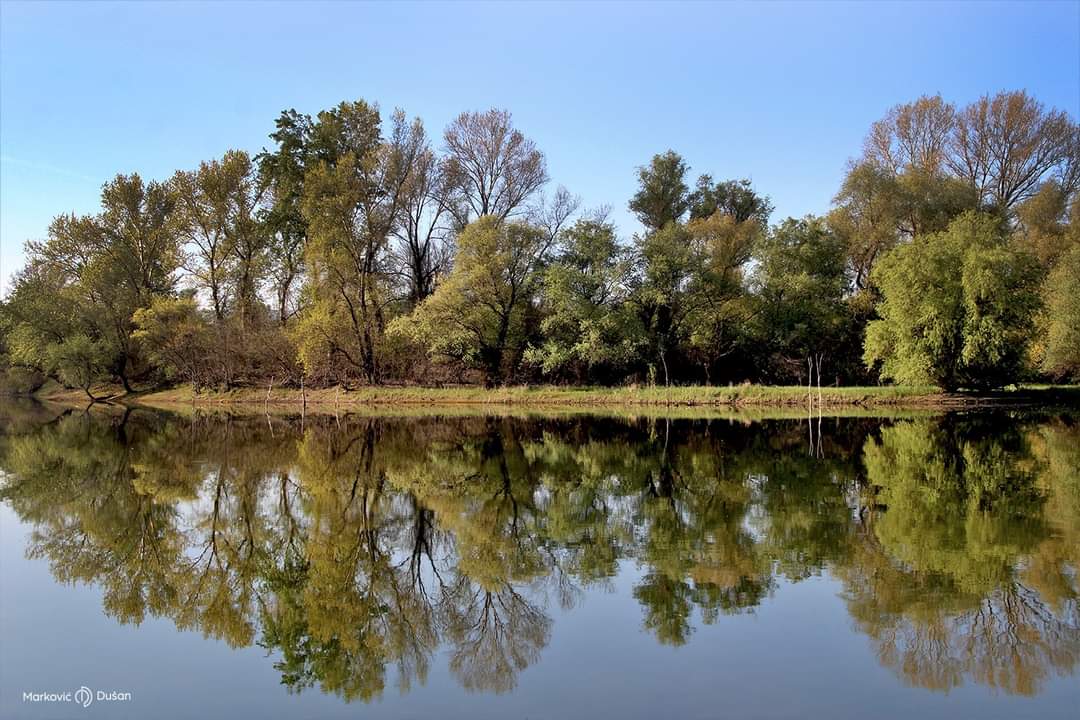 Fotografije Šodroš
Novi Sad