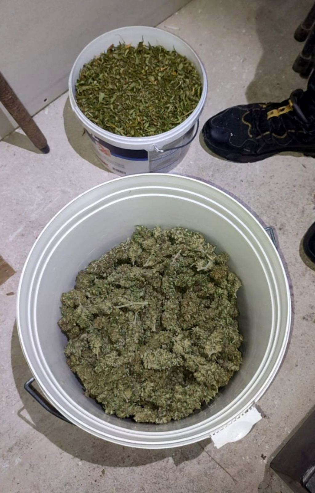 Niš, policija, zaplena, marihuana, trava, droga Foto: MUP