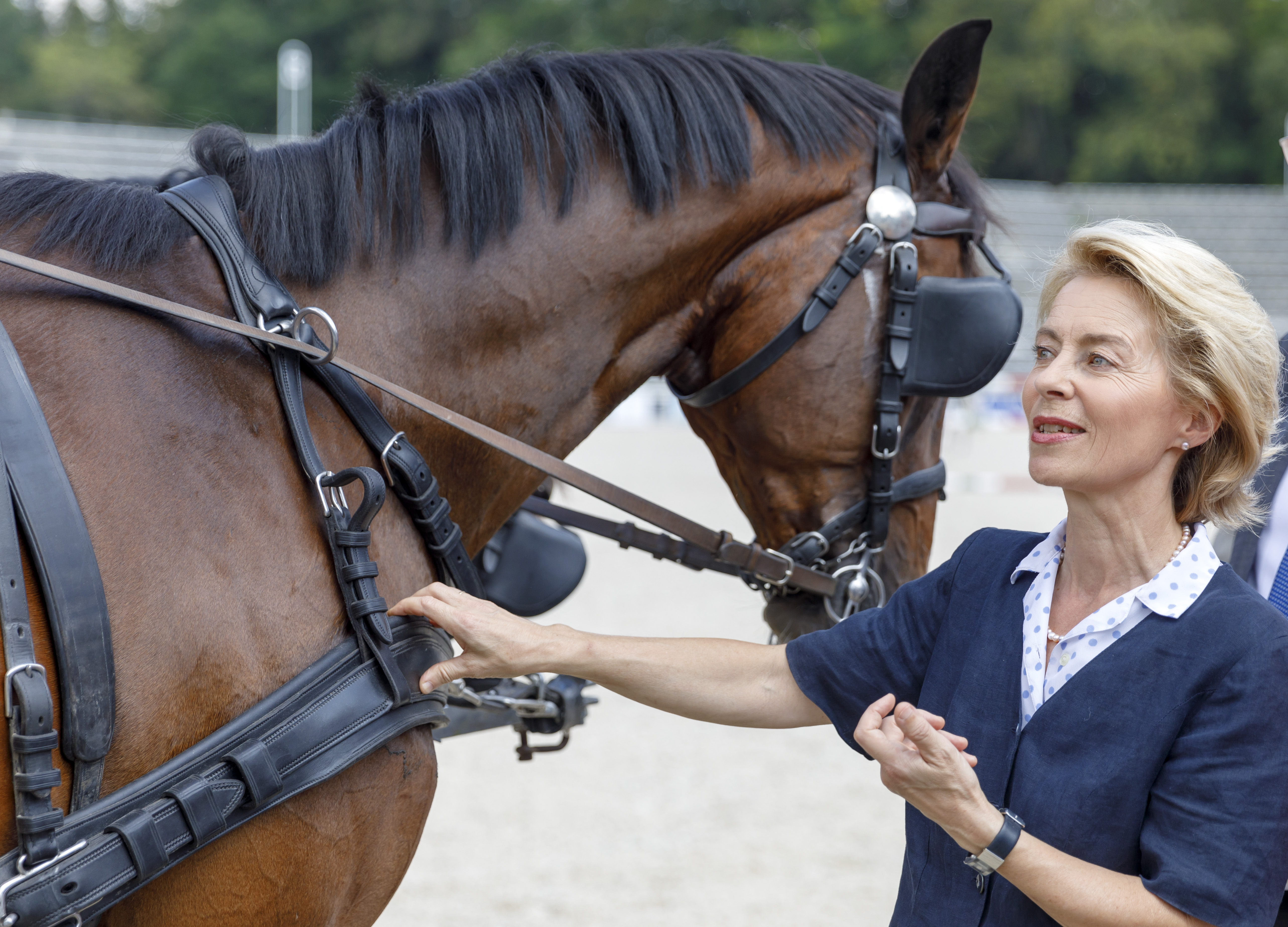 German Minister von der Leyen visits state Marbach Stud in Gomadingen