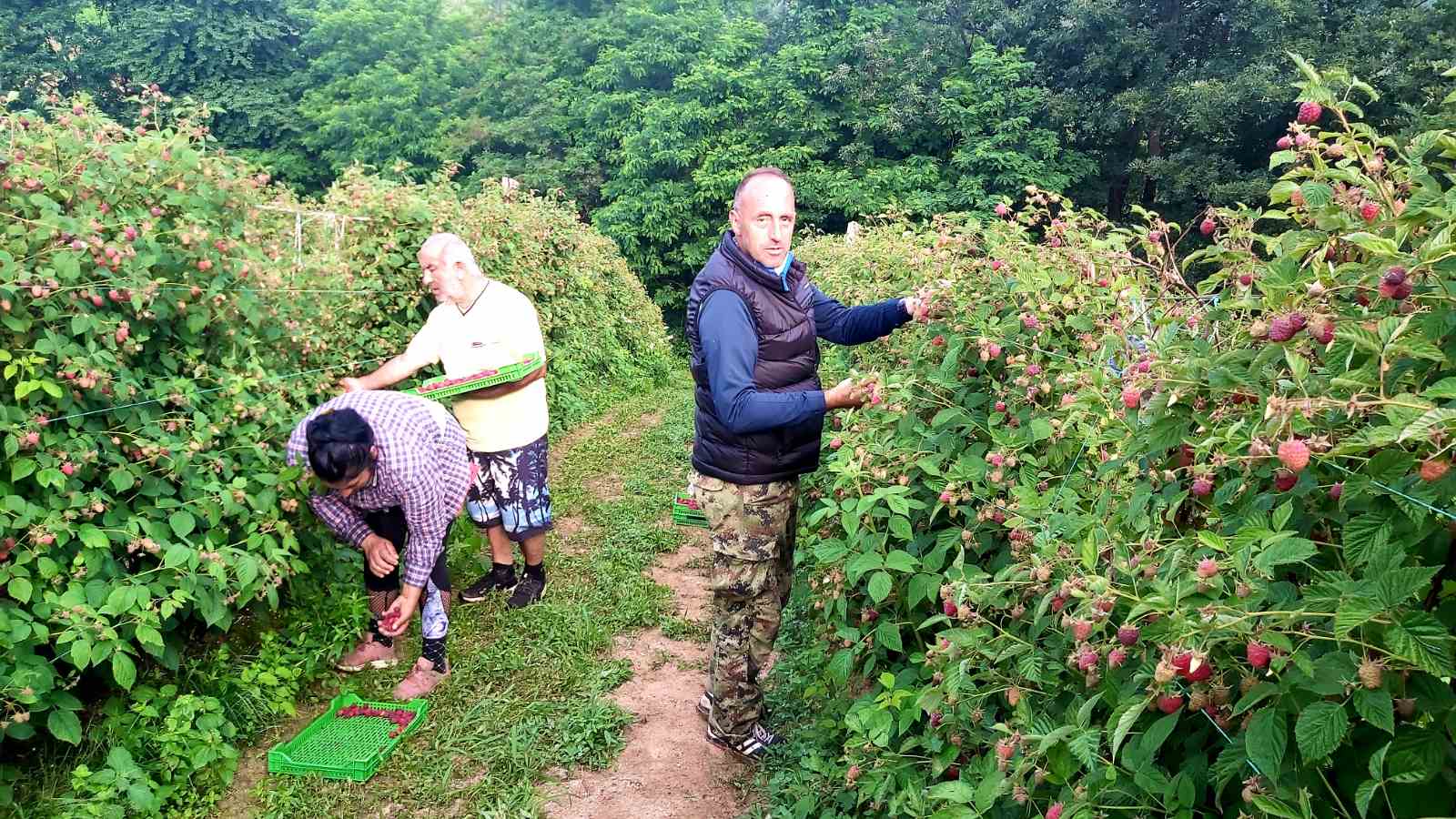 IMG-3146044a817b6733b14c283c26dd8c93-V