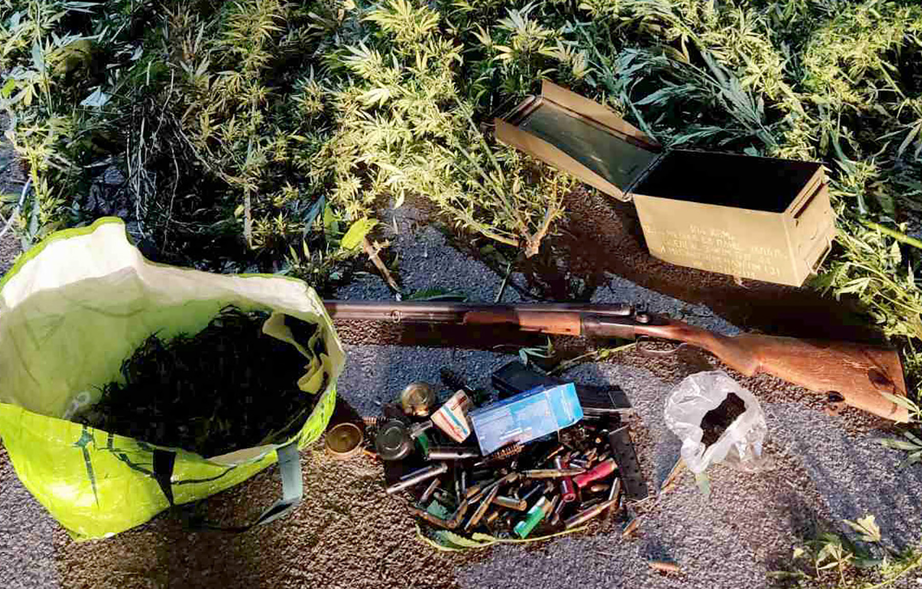 MUP-SAOPSTENJE-HAPSENJE-DROGA-ORUZJE-BEOGRAD