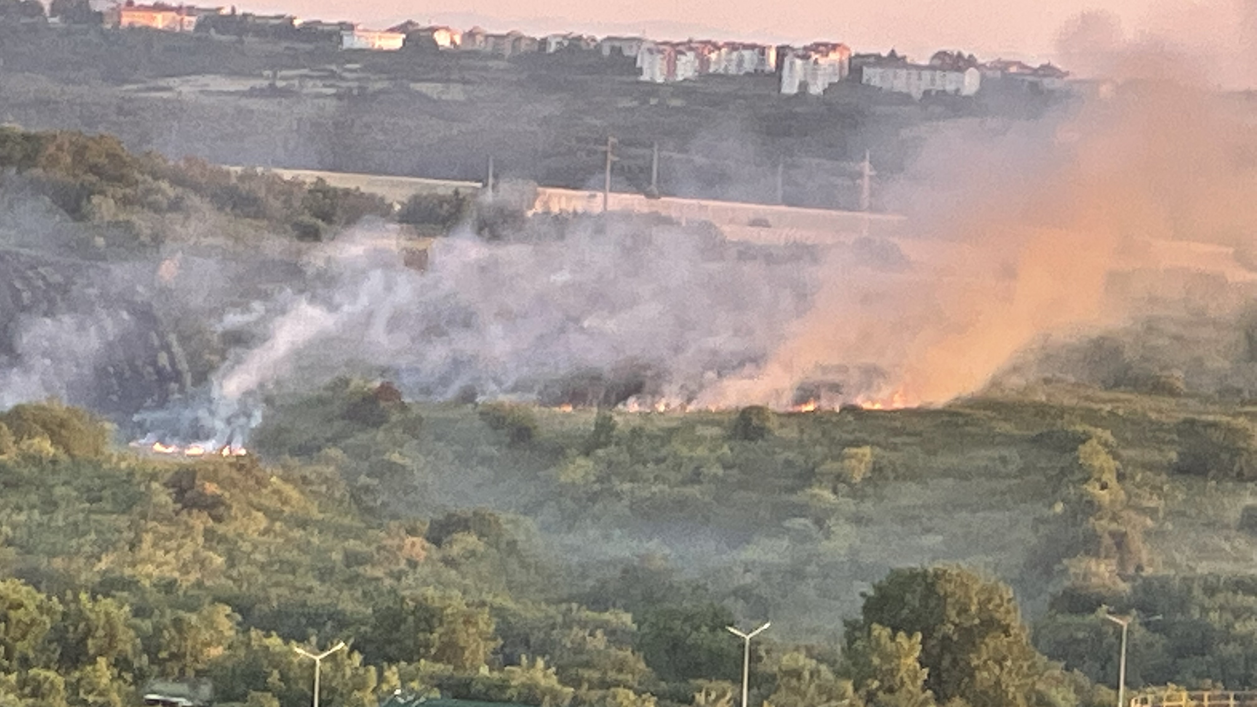 Beograd 19.07.2022. Vidikovac, požar, dim, Čukarica Foto: Nova.rs