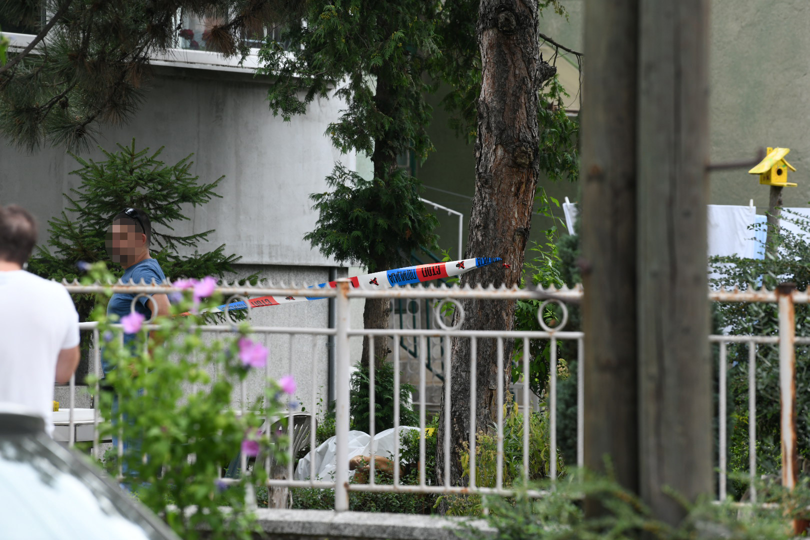 Beograd 24.07.2022. Zemun, ubistvo, ulica Branka Plećaša, hronika Foto: Vesna Lalić/Nova.rs