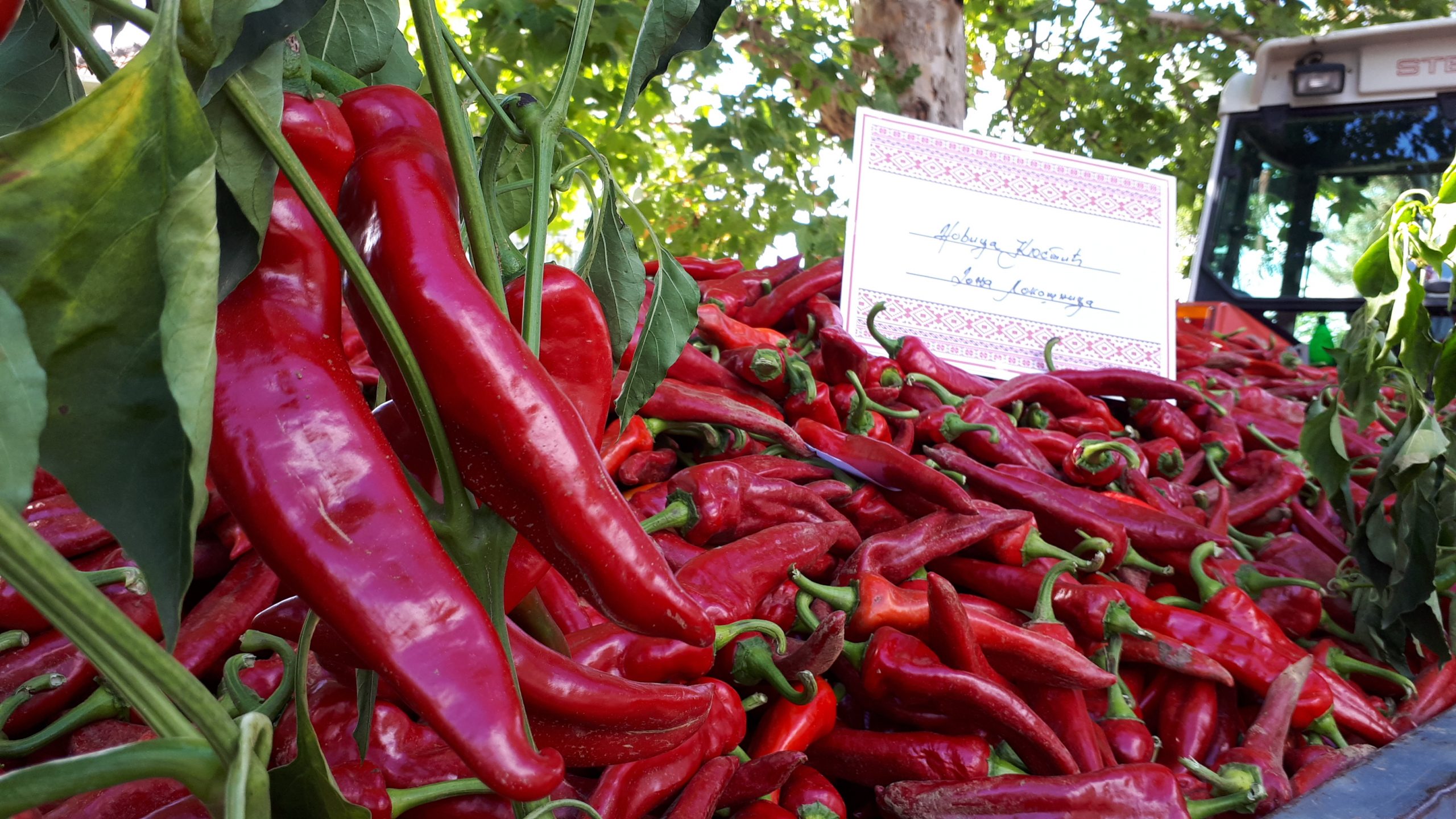 fotografije za sfotografije za selo Lokšnica kraj Leskovca