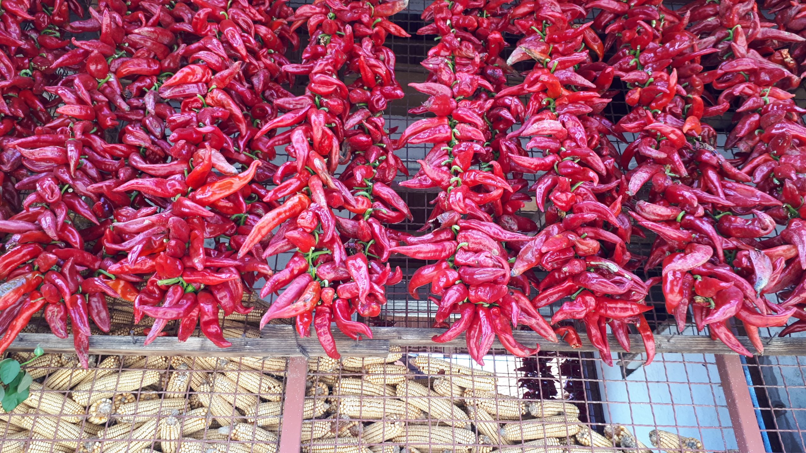fotografije za sfotografije za selo Lokšnica kraj Leskovca