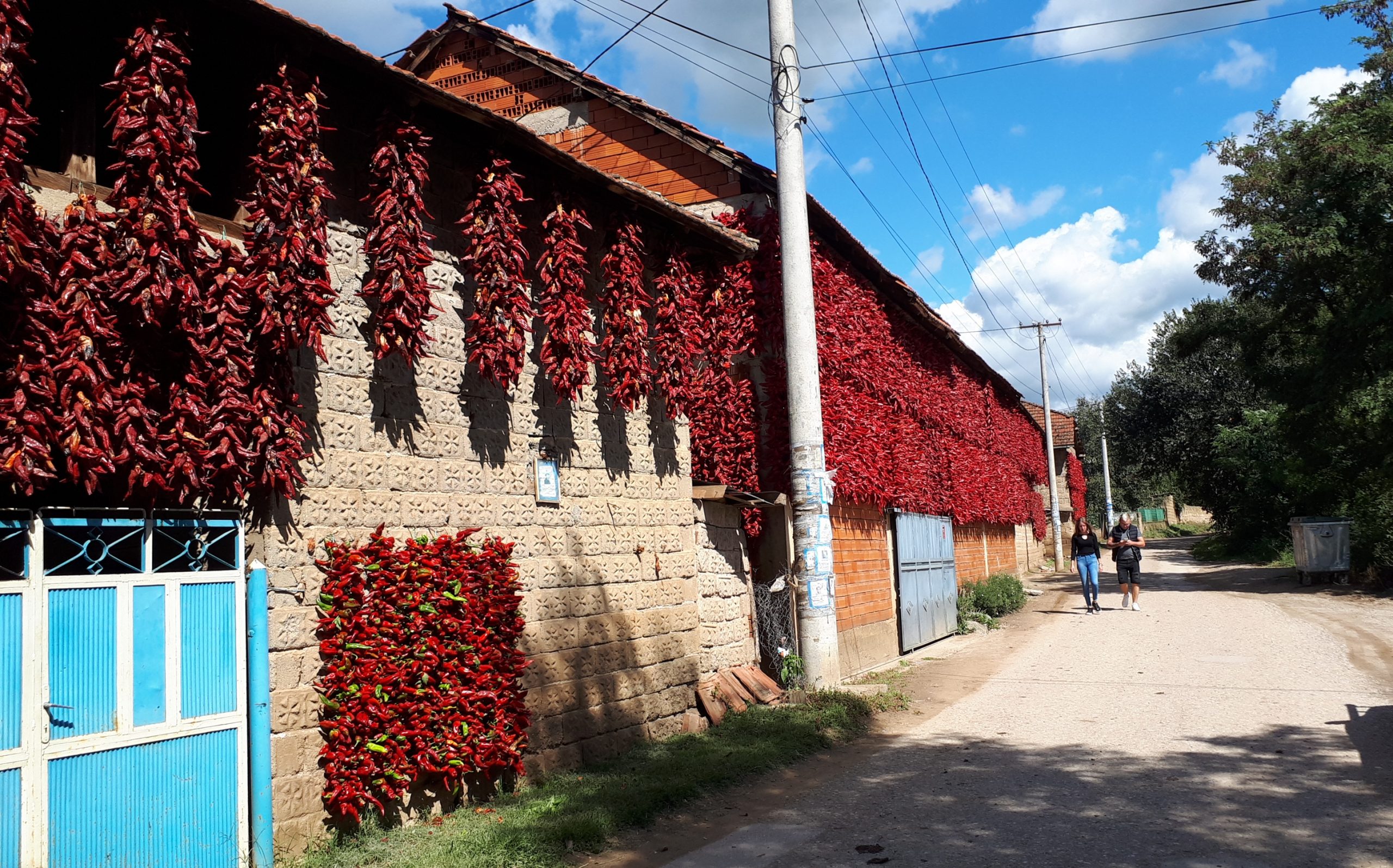 fotografije za sfotografije za selo Lokšnica kraj Leskovca