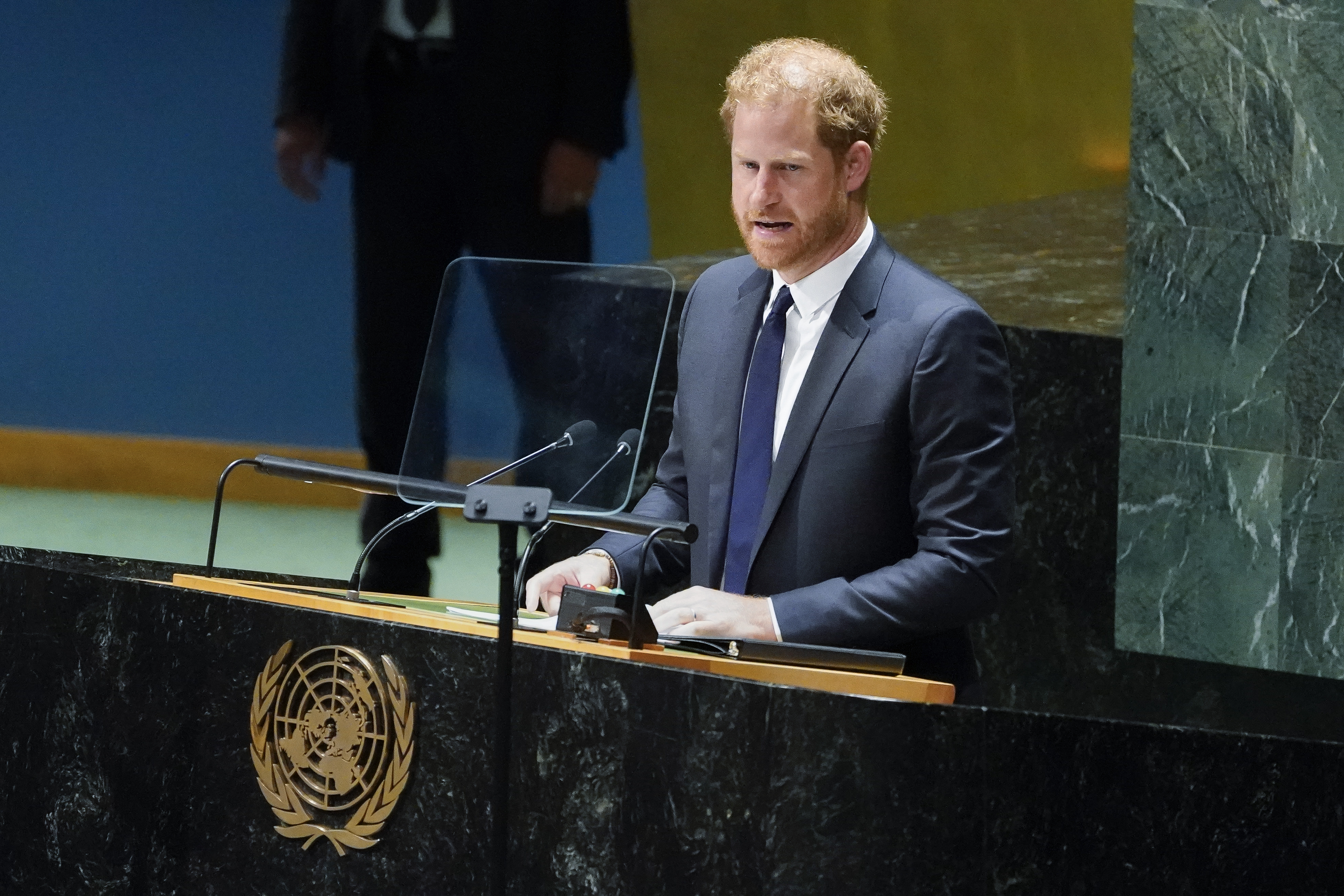 United Nations Prince Harry Mandela Day