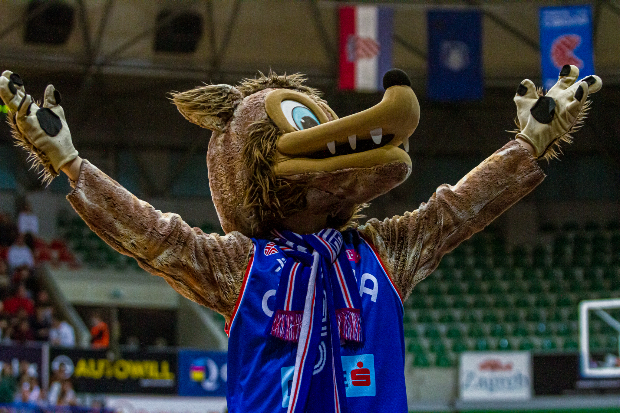 cibona