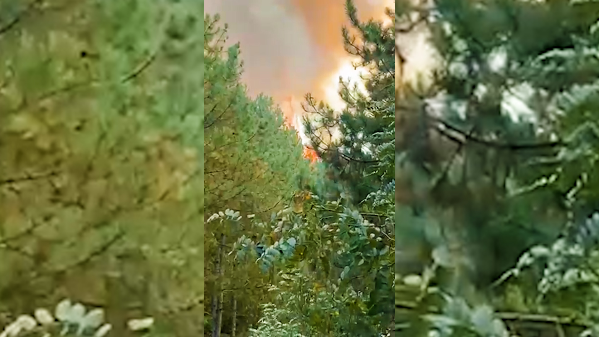 Foto: Video/rtvpresheva.com