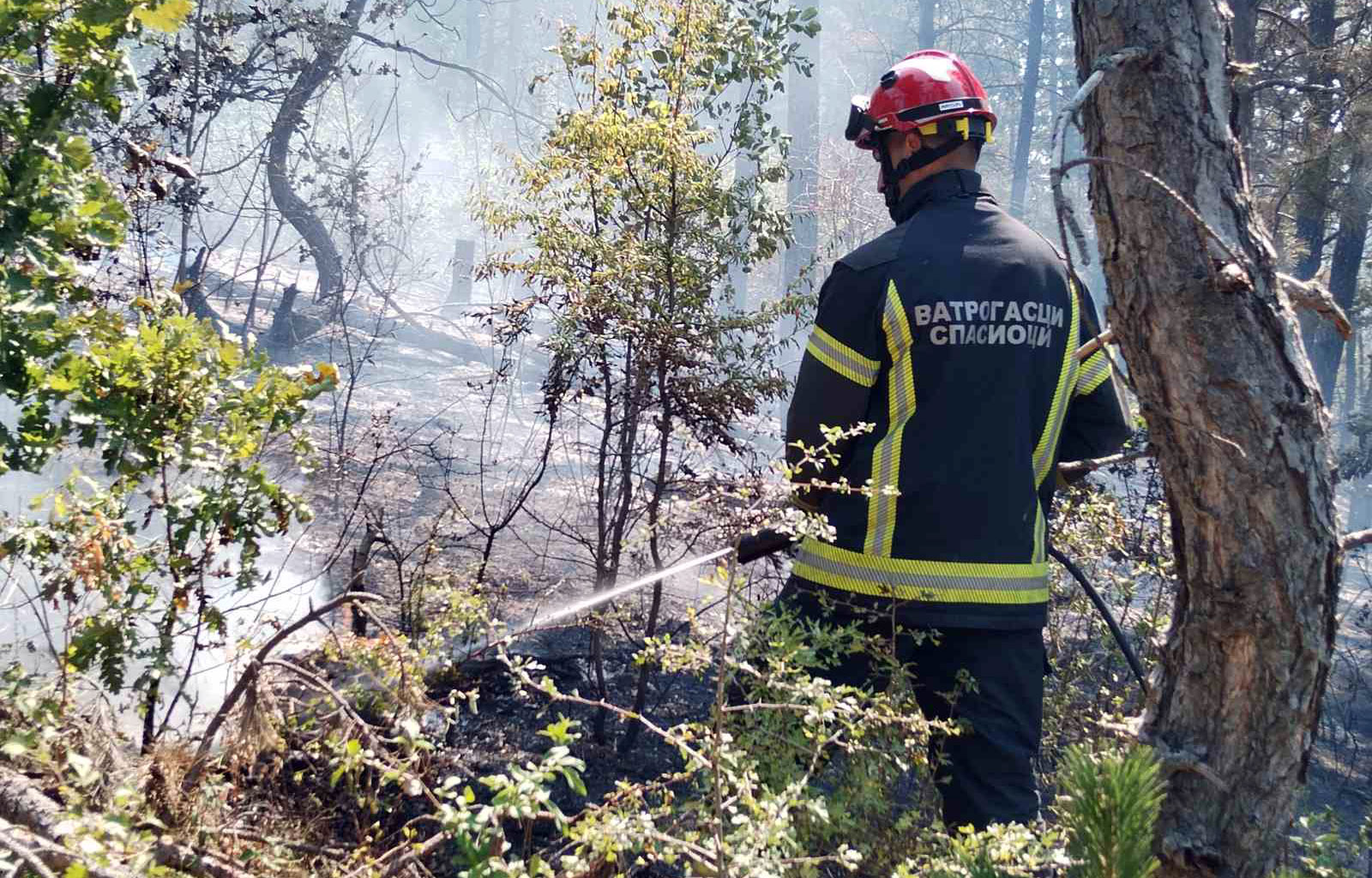 Presevo pozar gasenje vatrogasci