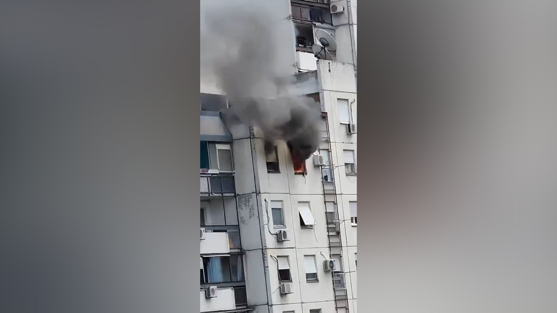 Foto: Telegram/192.rs/video