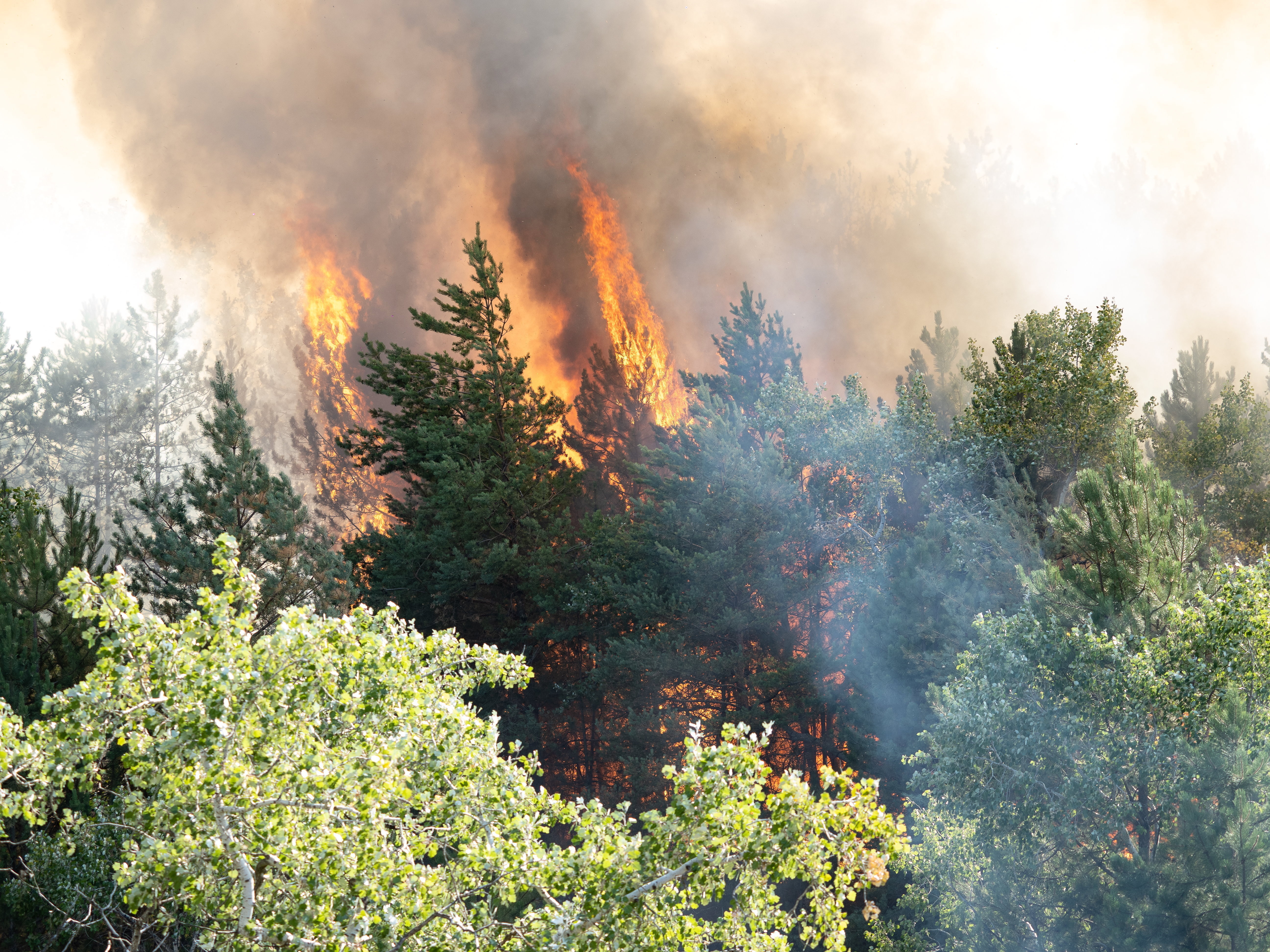 Wildfires in Hungary